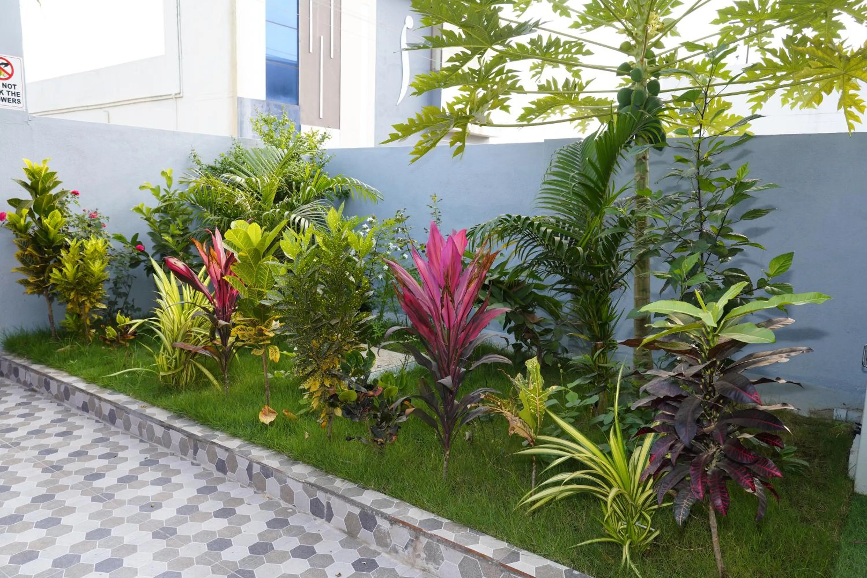 Garden in Sri Sakthi Residence