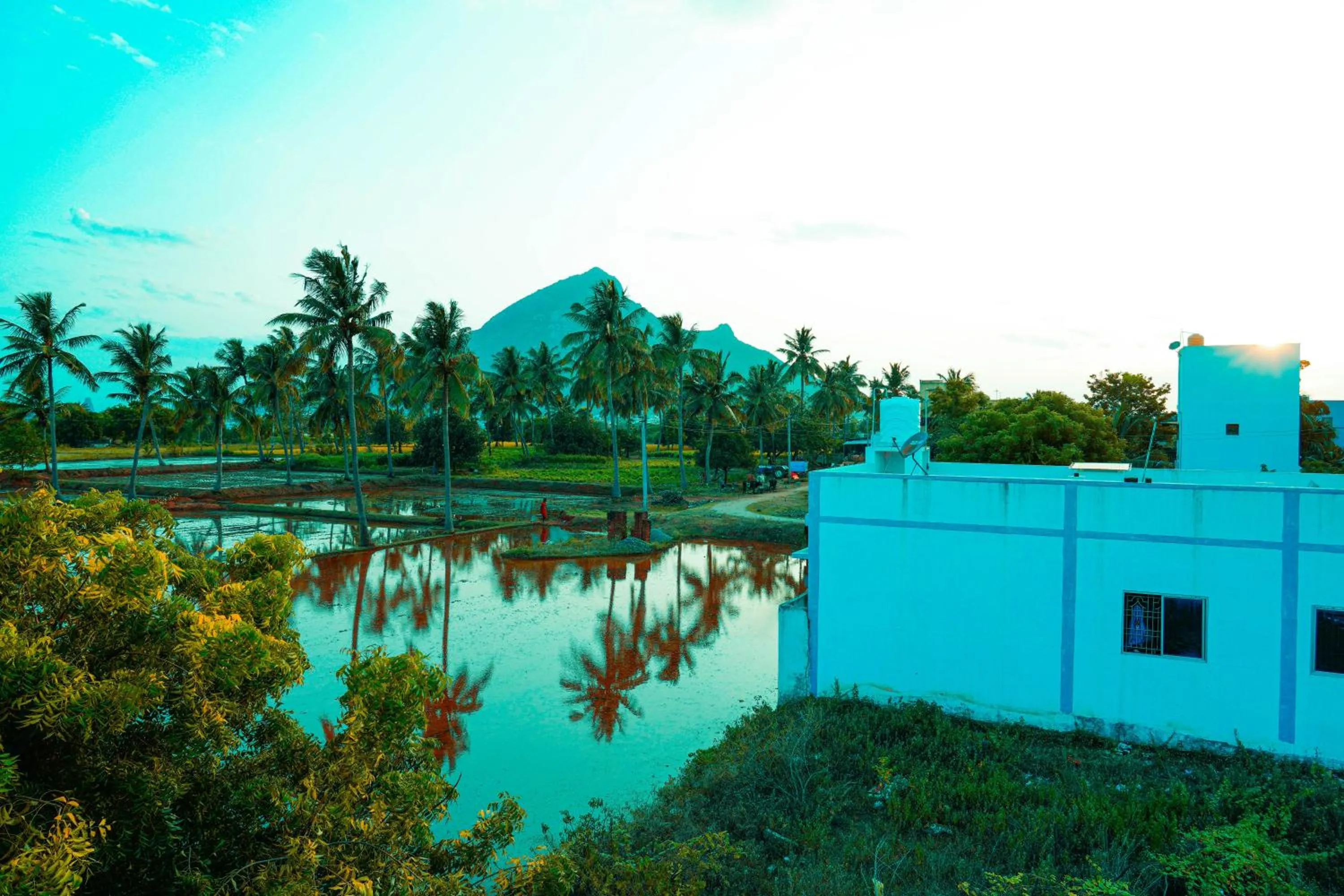 Day in Sri Sakthi Residence