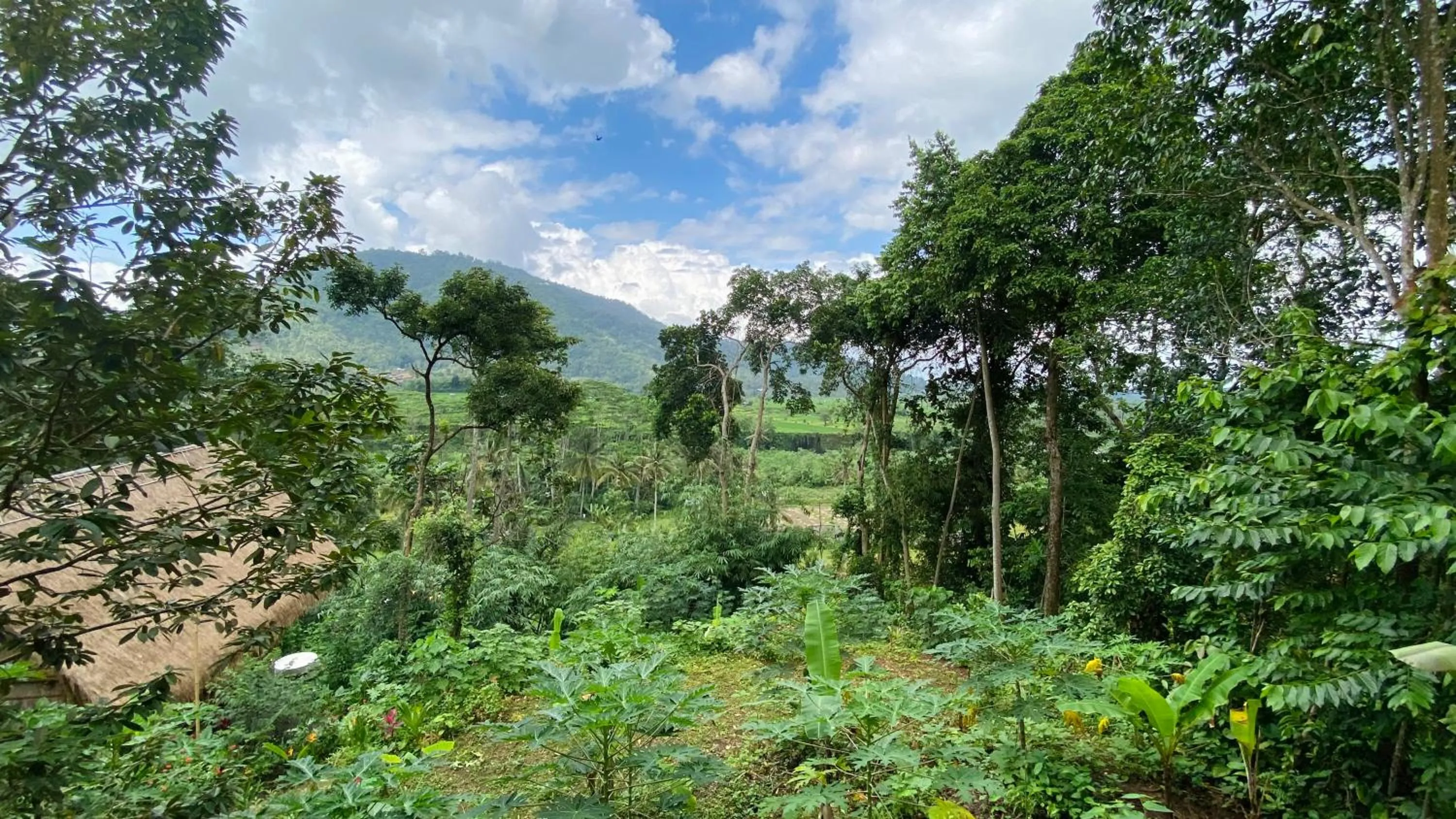 Bird's eye view in Sandag Hill