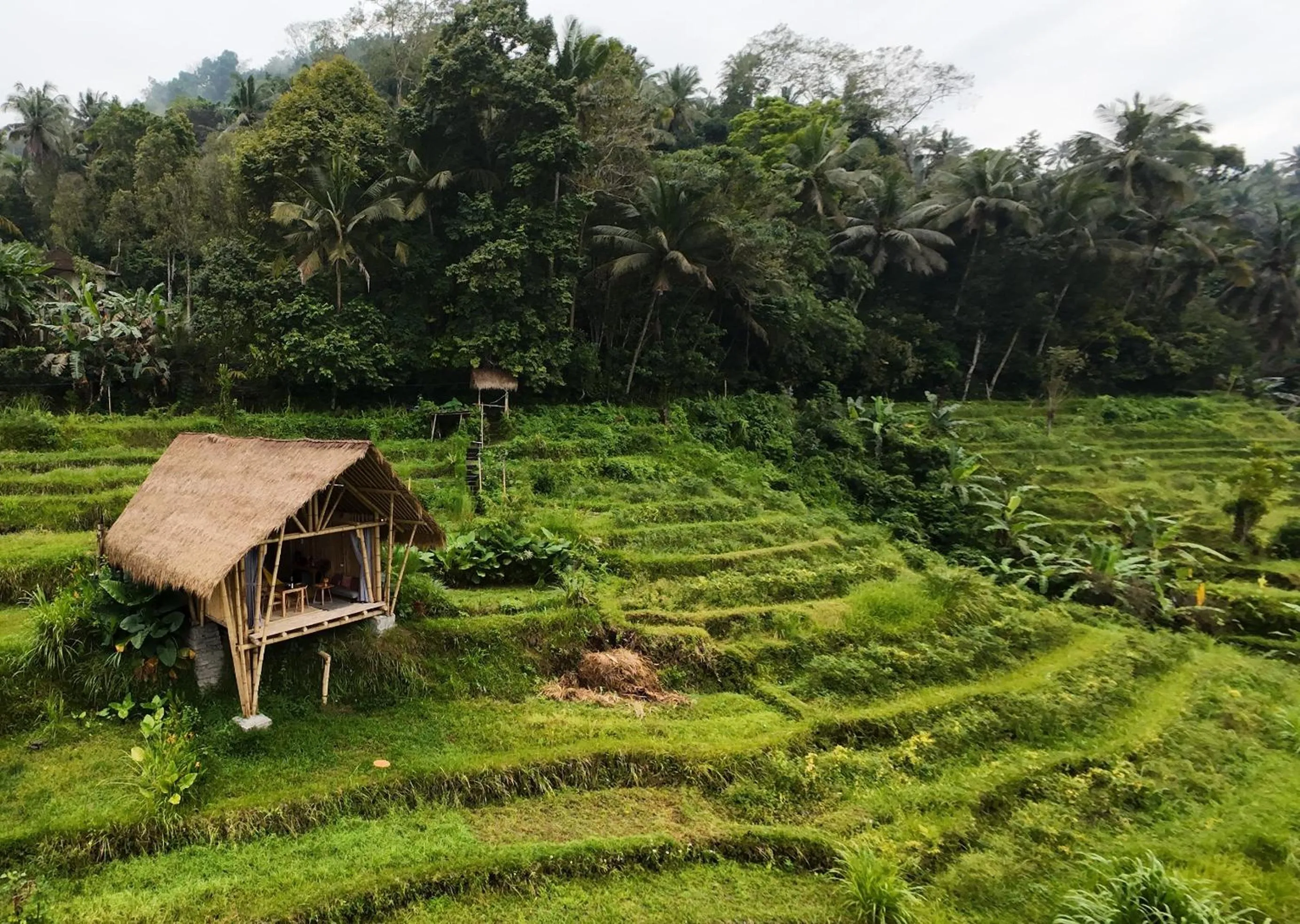 Property building in Sandag Hill