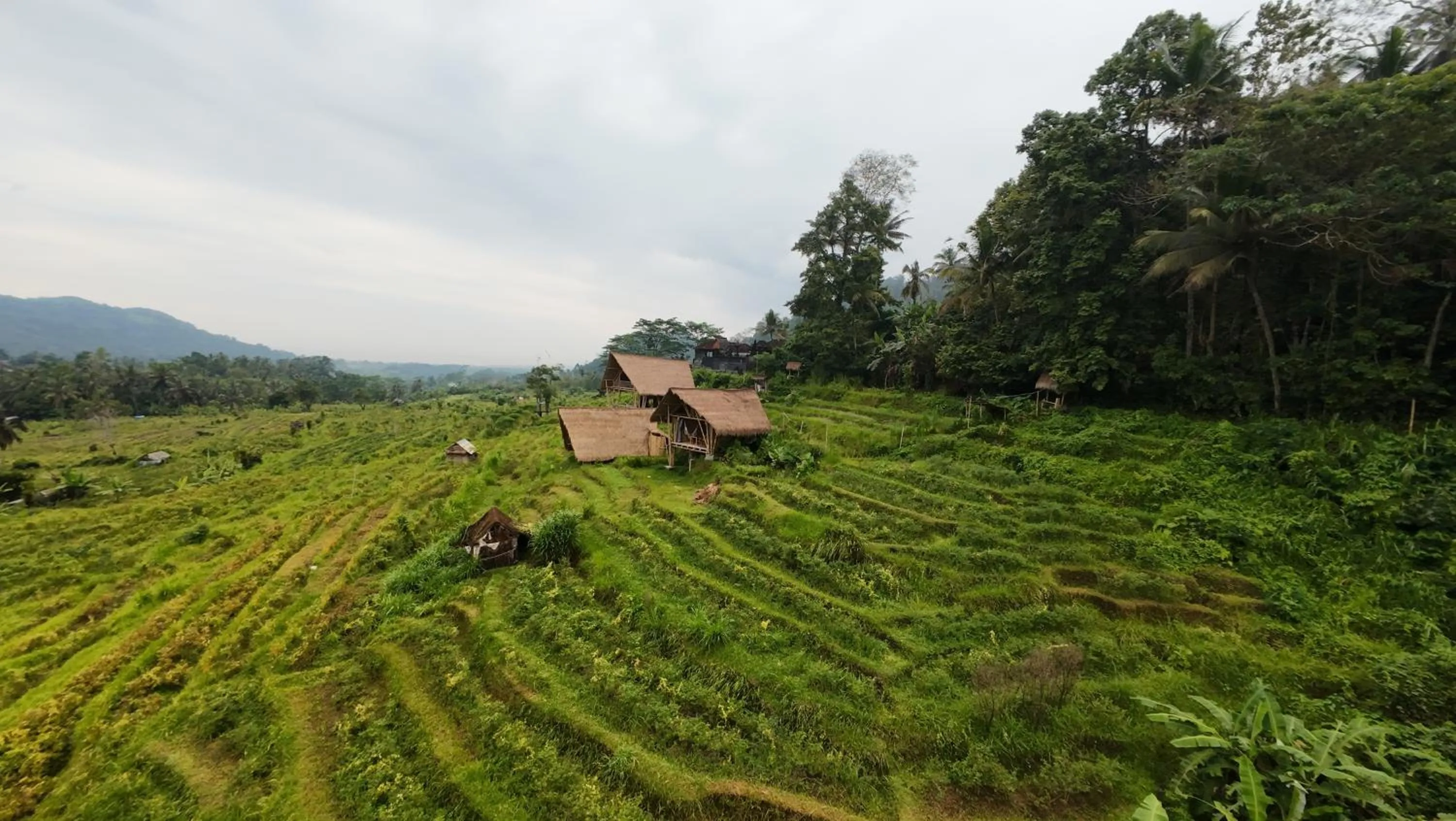 Property building in Sandag Hill