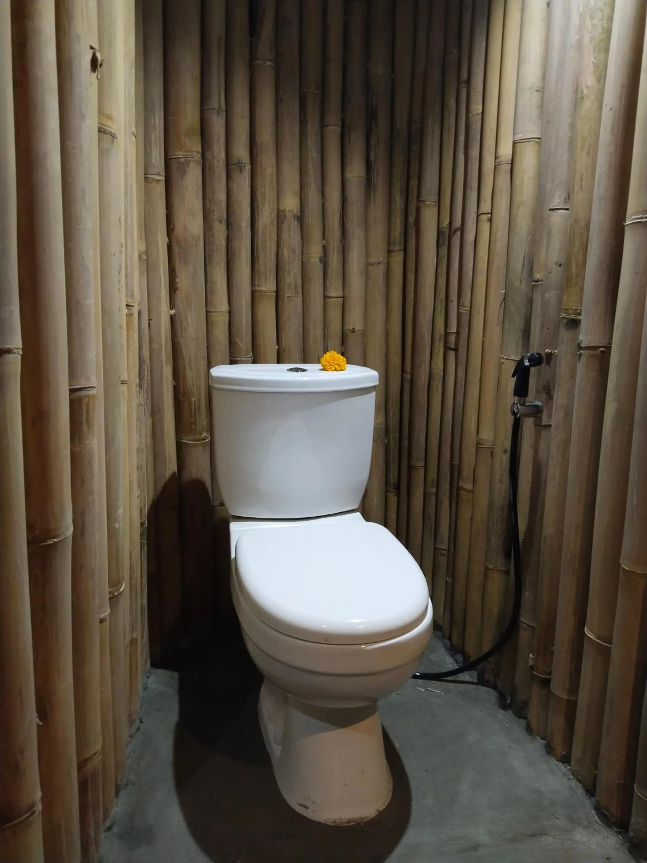 Toilet in Sandag Hill