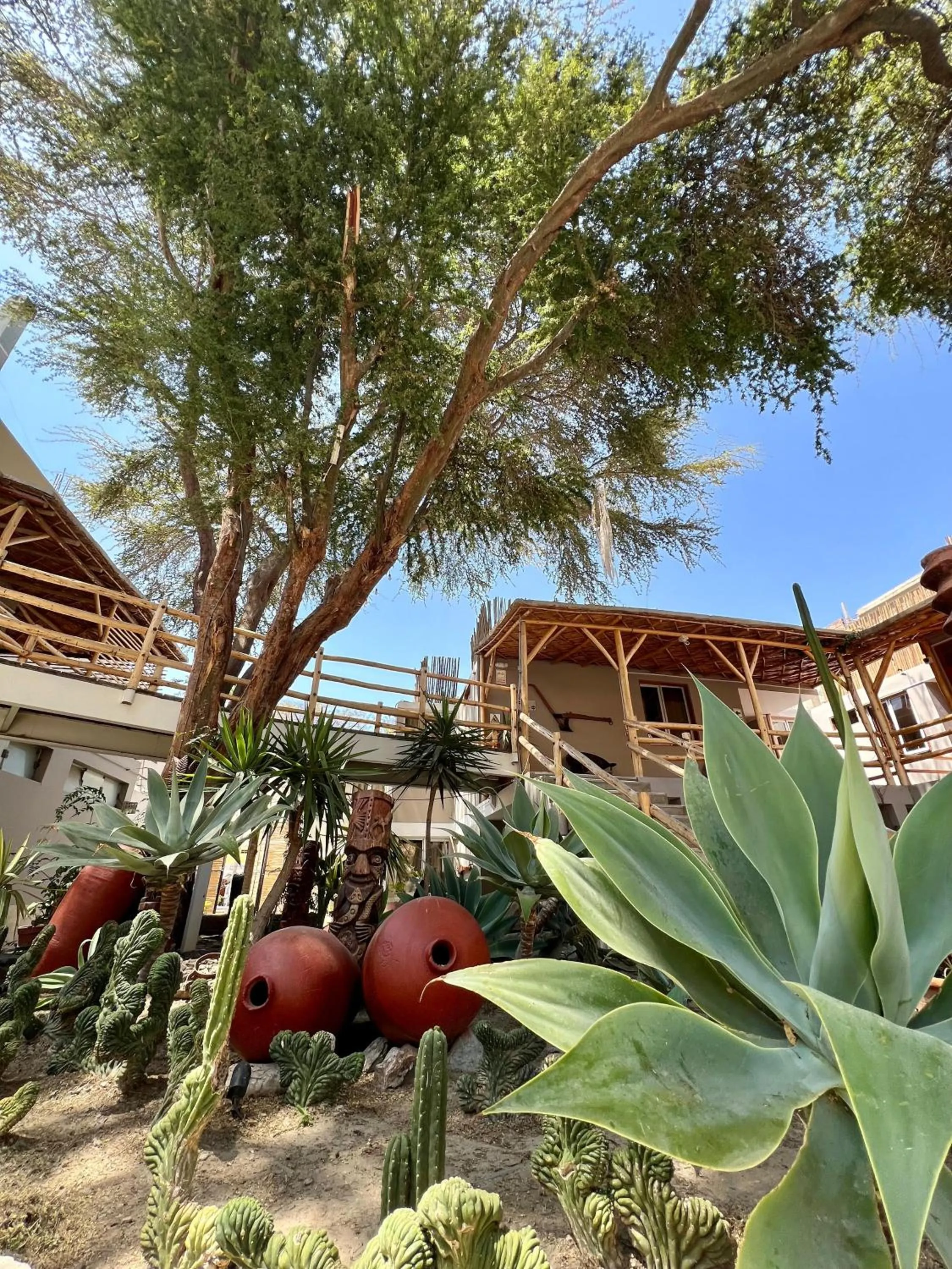 Garden in Hotel El Huacachinero- Hotel Familiar