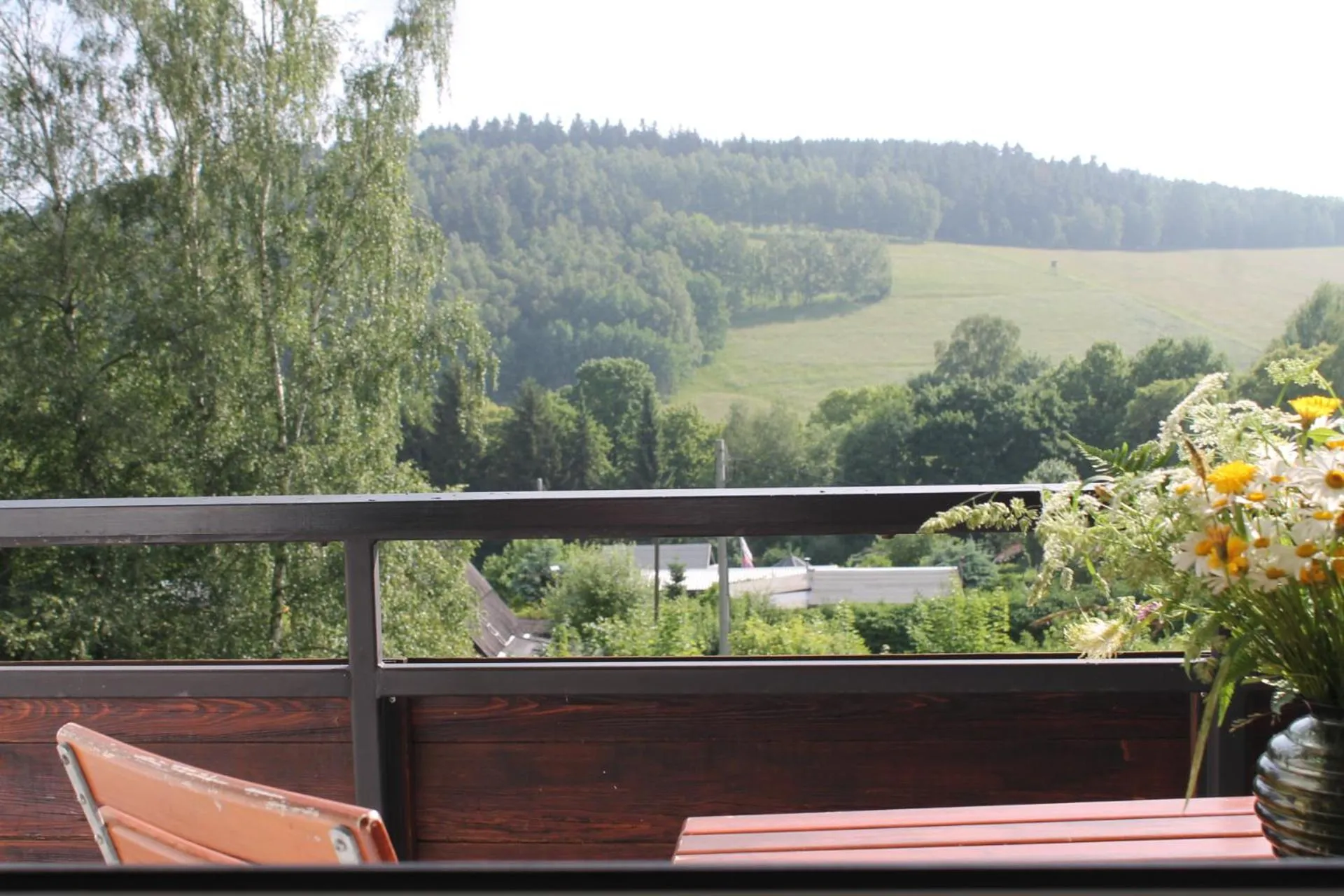 Balcony/Terrace in Hotel Carolaruh