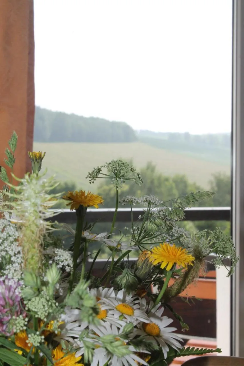 View (from property/room) in Hotel Carolaruh