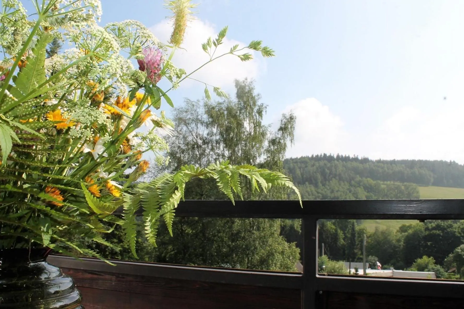 View (from property/room) in Hotel Carolaruh