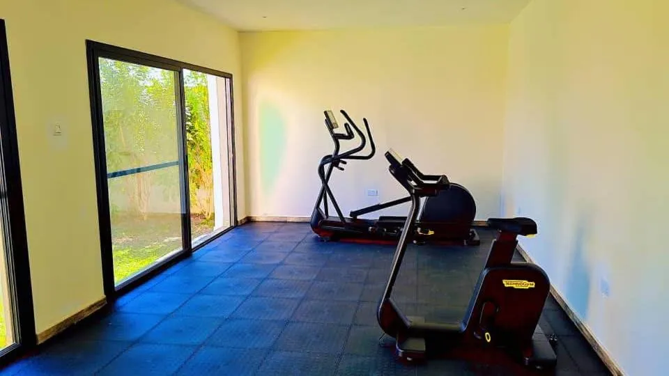 Fitness centre/facilities in 24 Roma