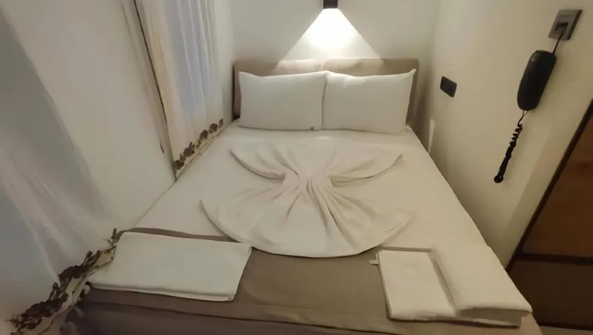 Economy Double Room in The Professor's Hotel