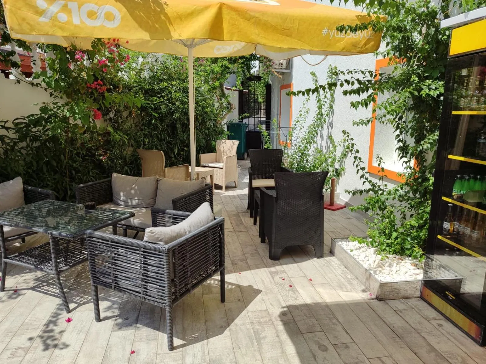 Garden in The Professor's Hotel