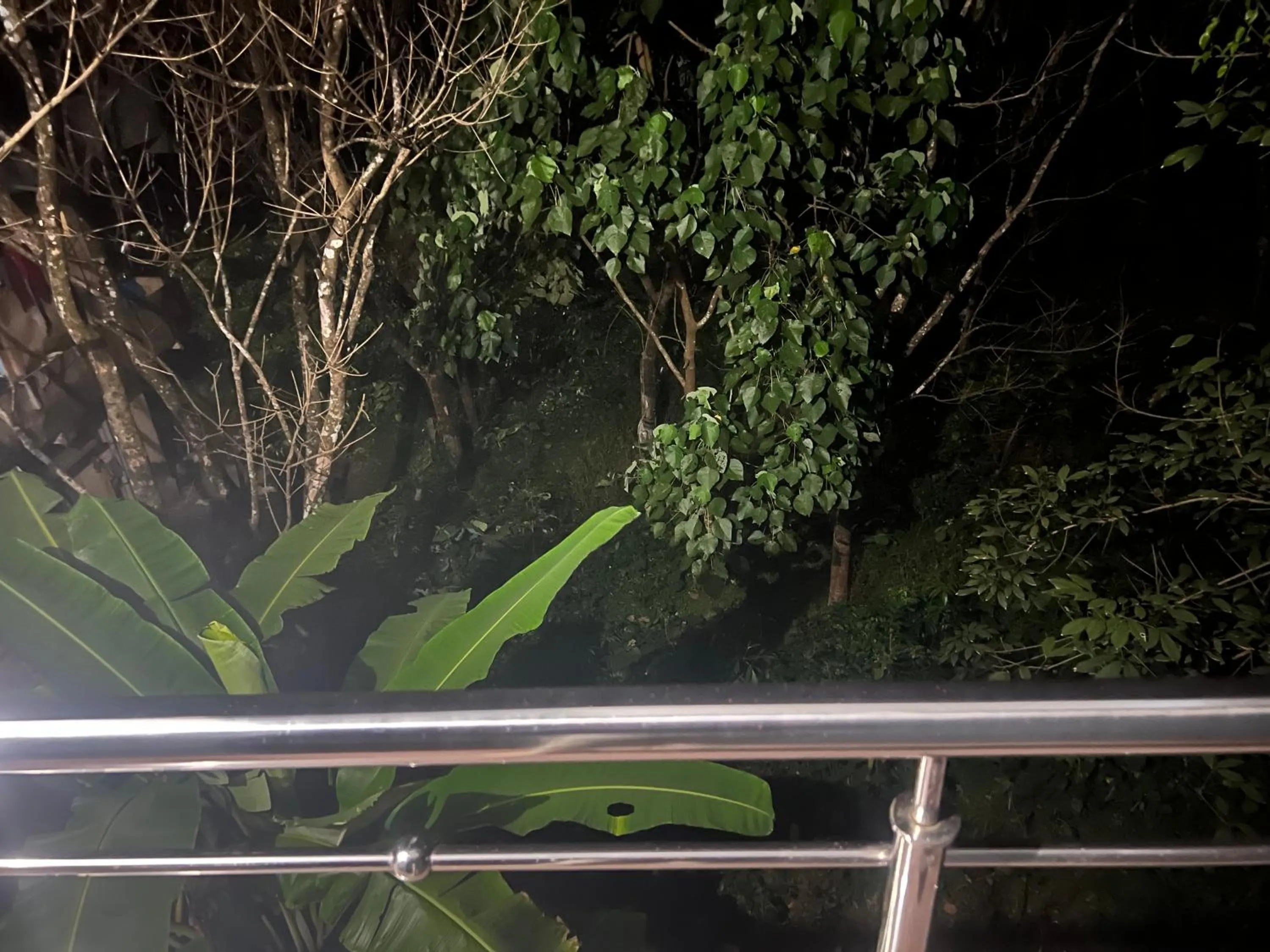 Devatha Homestay, Guest House, Hotel,Dharmasthala-2