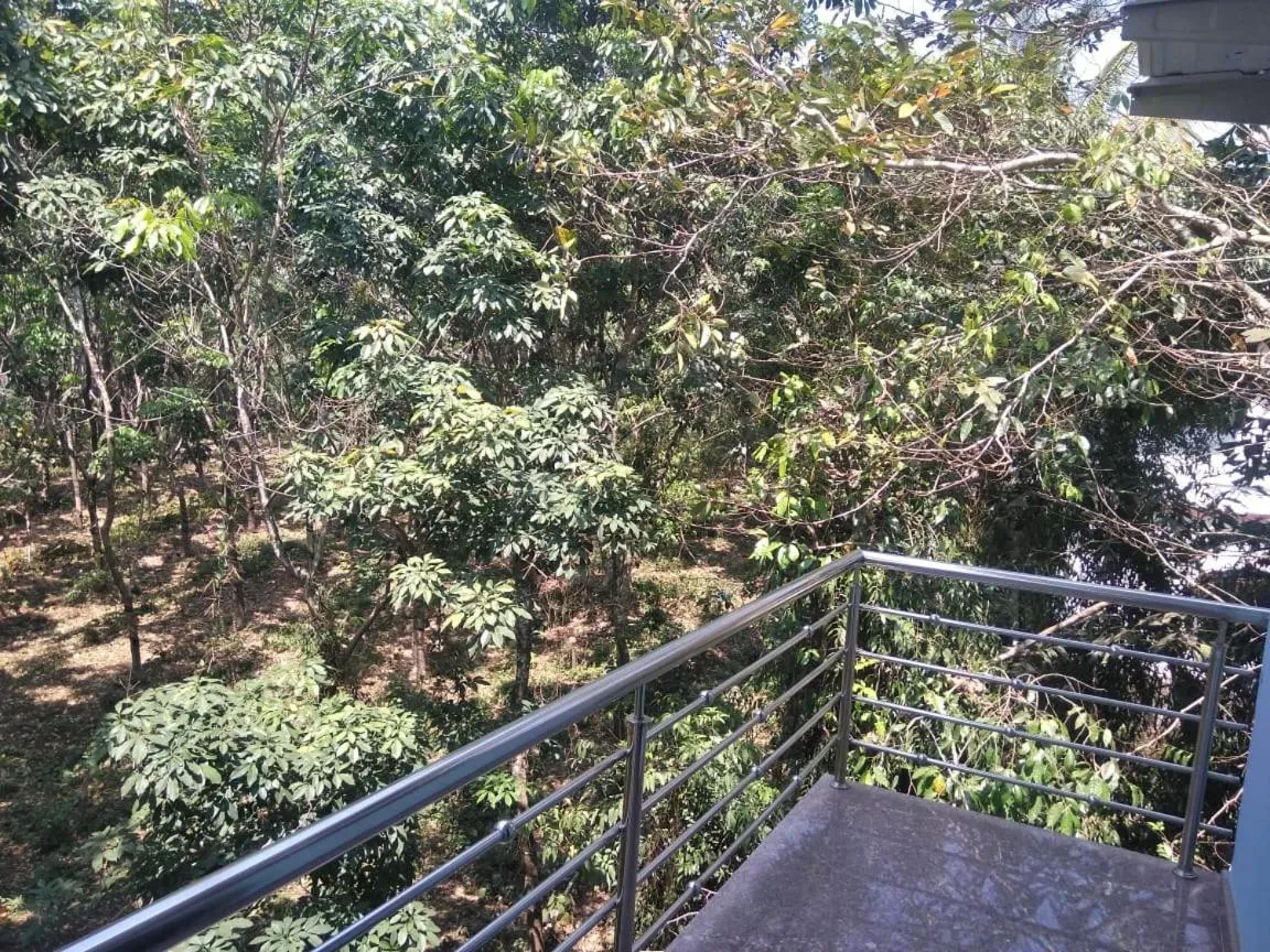 Day in Devatha Homestay, Guest House, Hotel,Dharmasthala-2