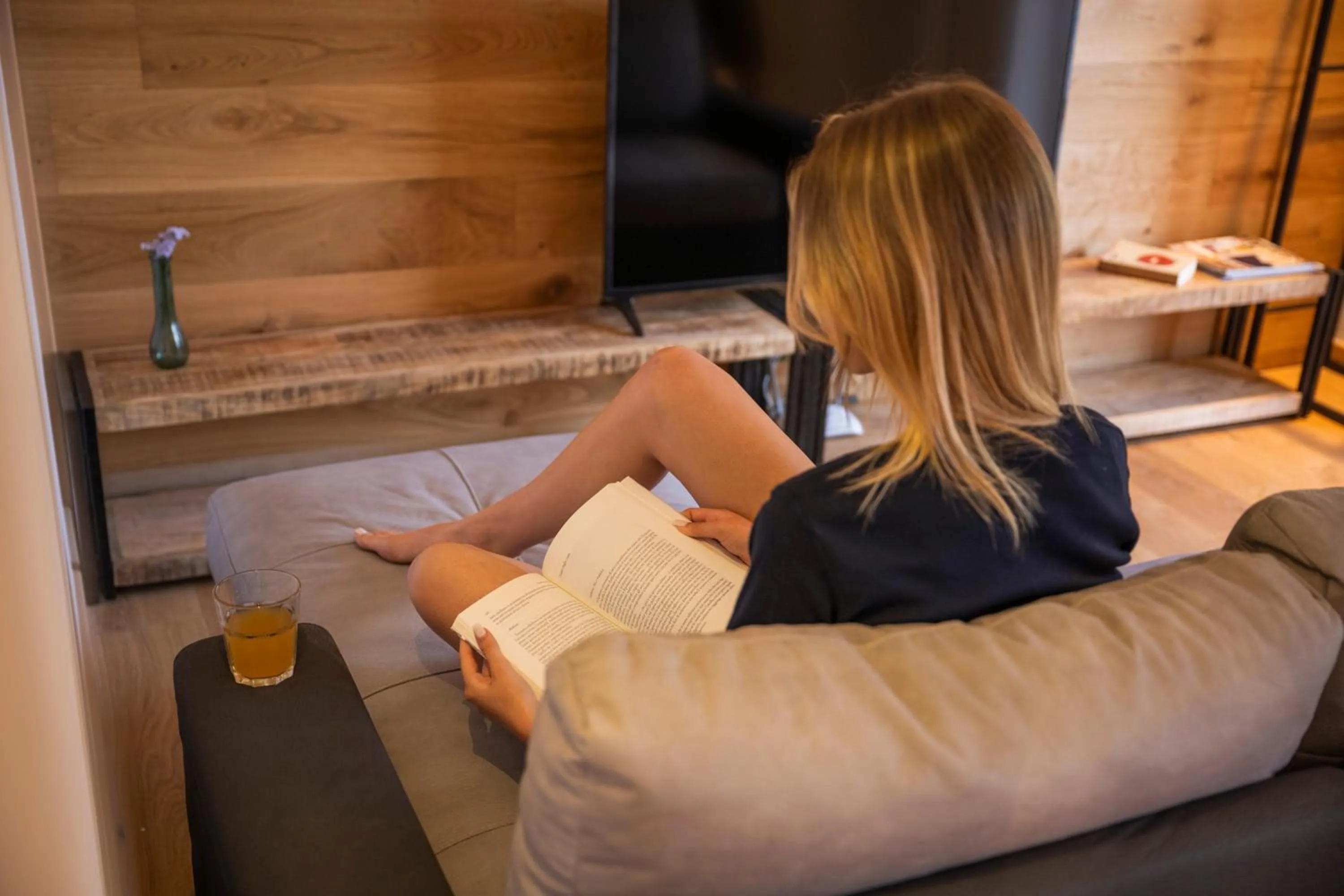 Living room in SnowLake Suite & Apartment