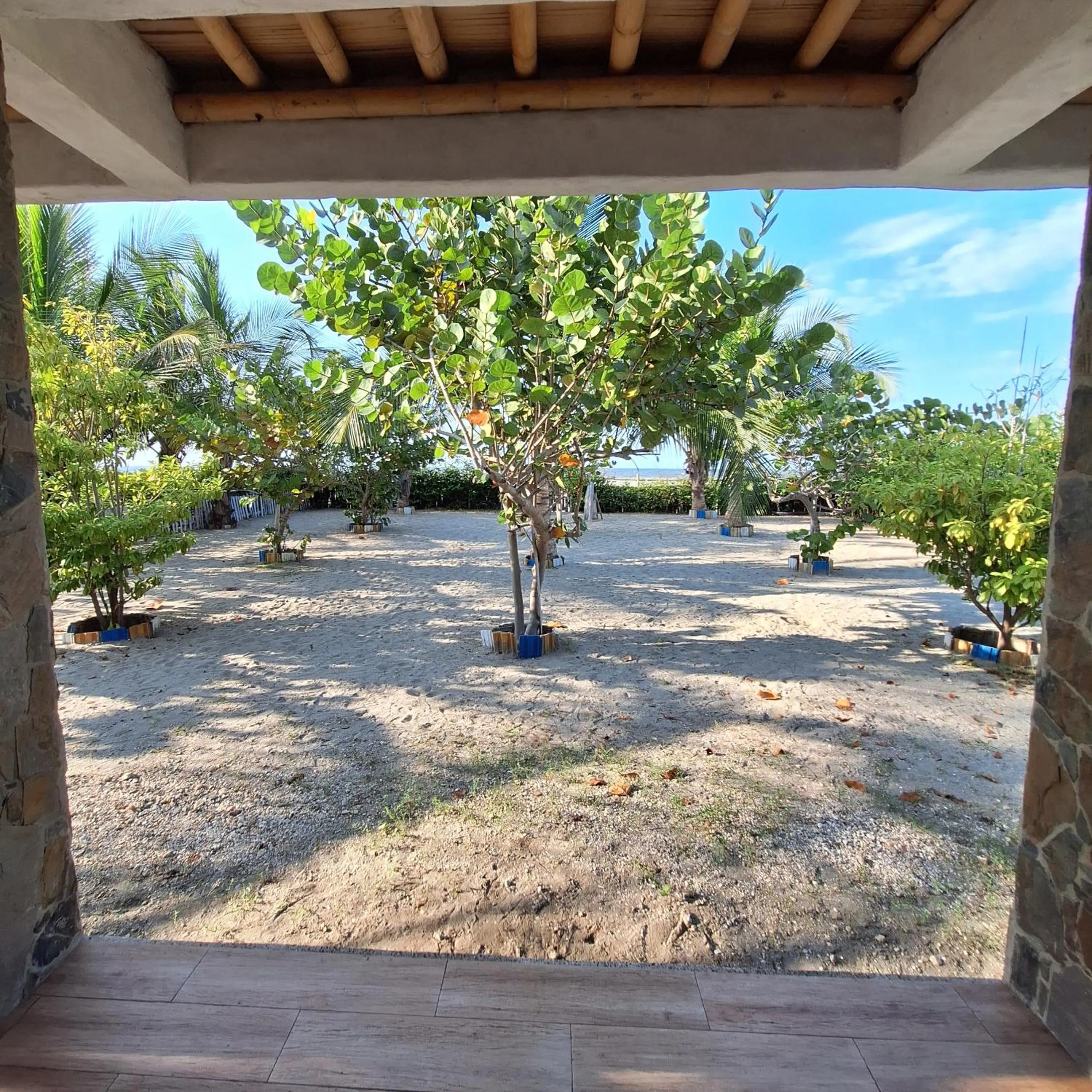 Natural landscape in Eco-Hotel Chevere Beach