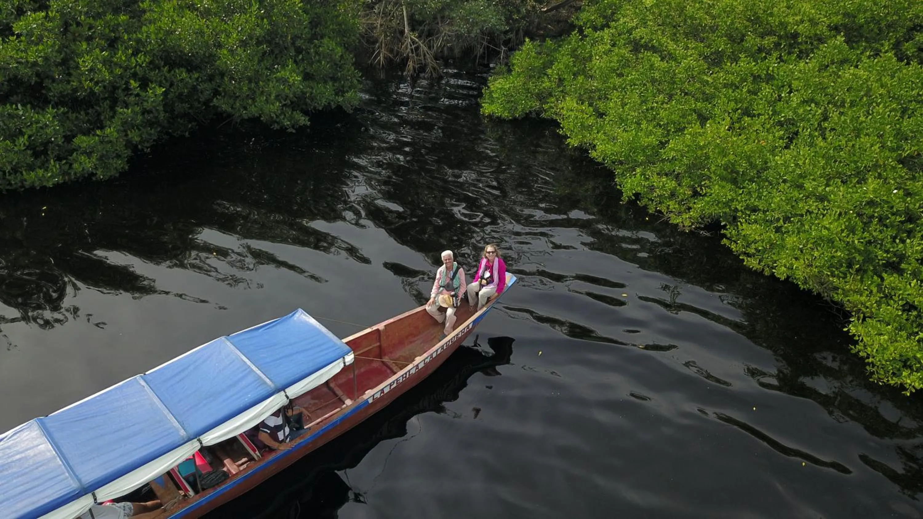 Activities in Eco-Hotel Chevere Beach