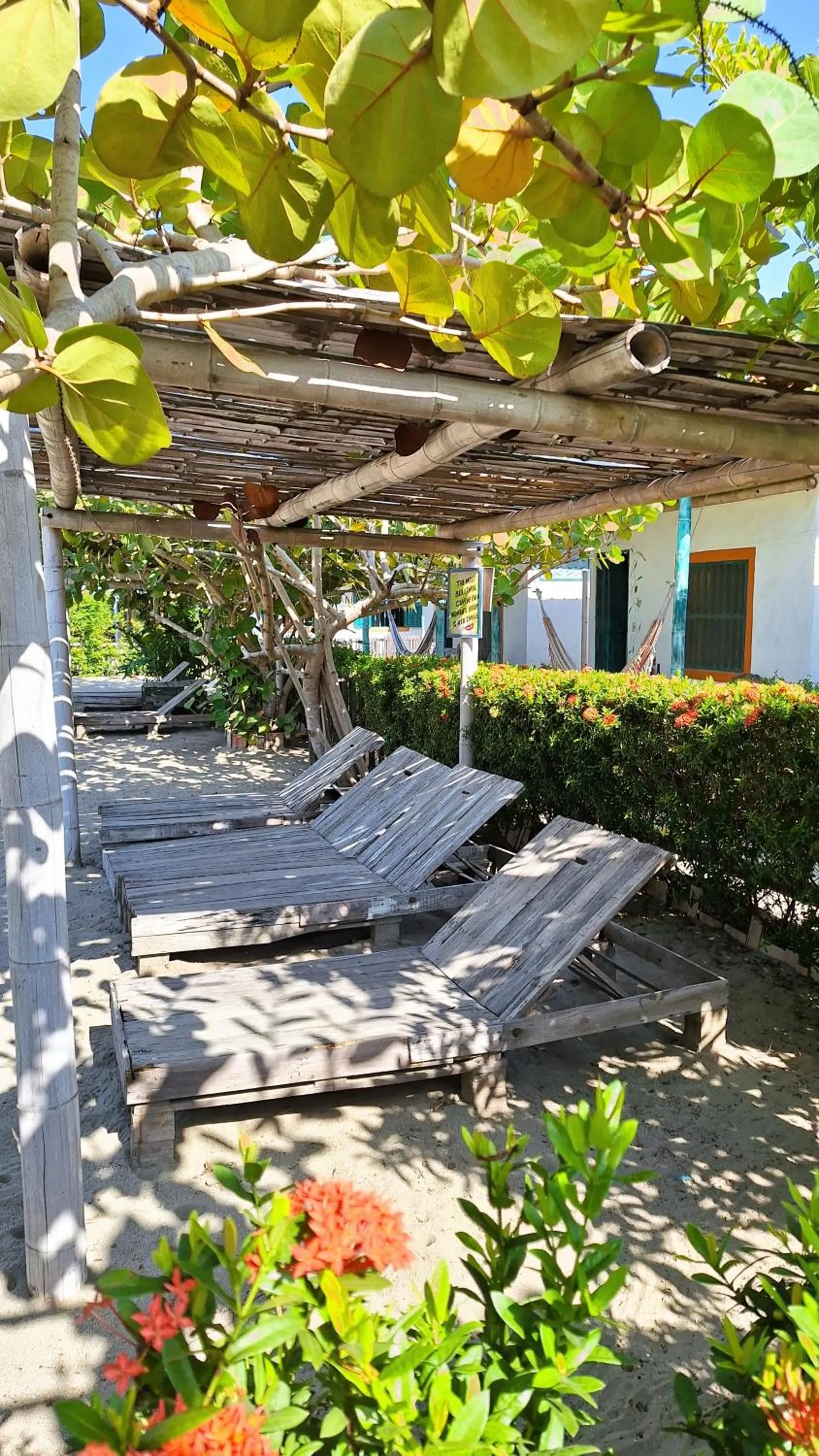 Garden in Eco-Hotel Chevere Beach
