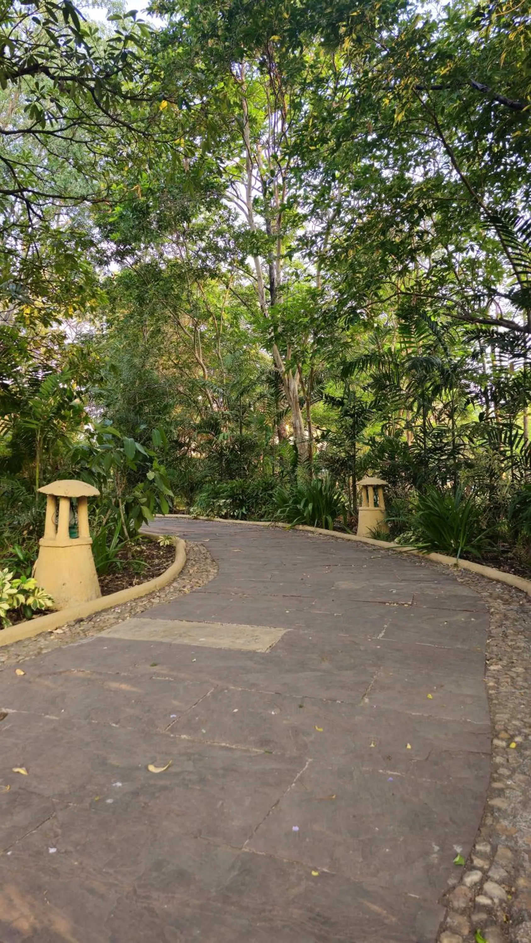 Day in The Celebration Van Vilas