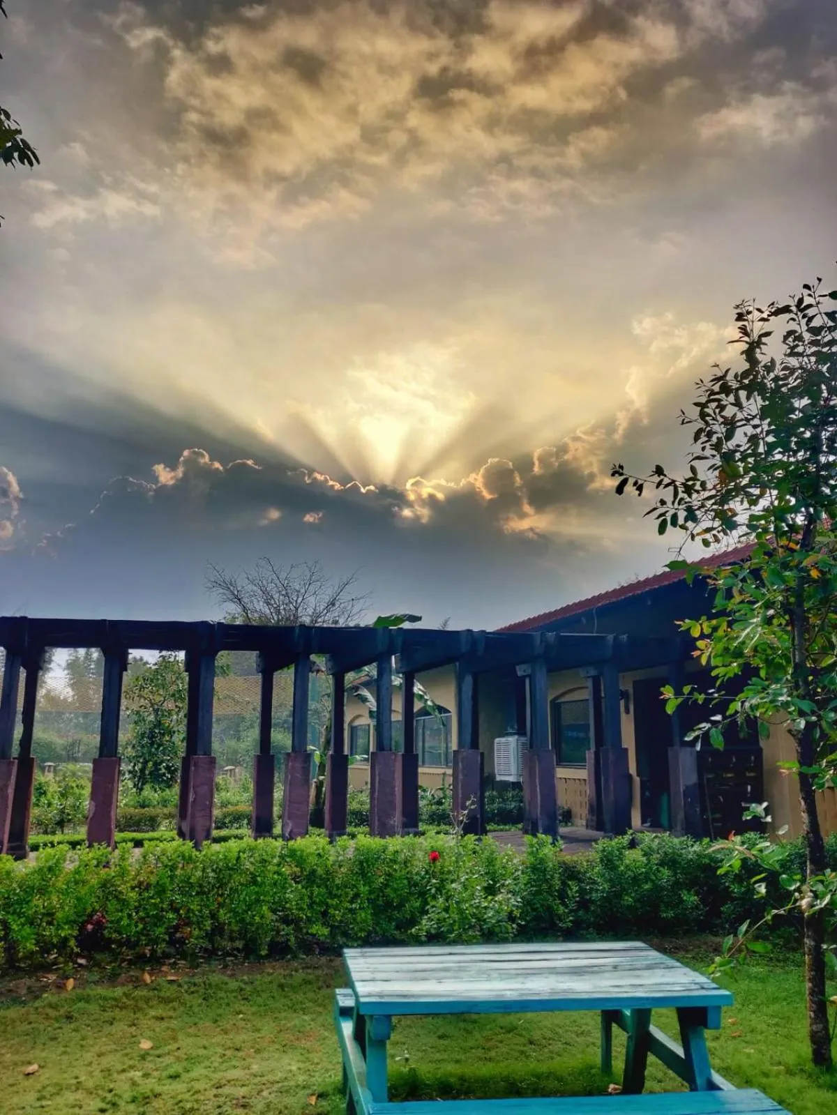 Natural landscape in The Celebration Van Vilas