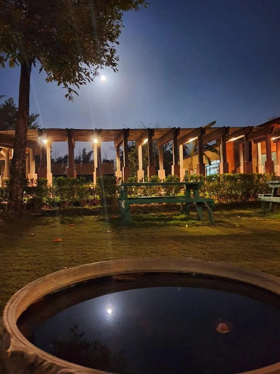 Garden view in The Celebration Van Vilas