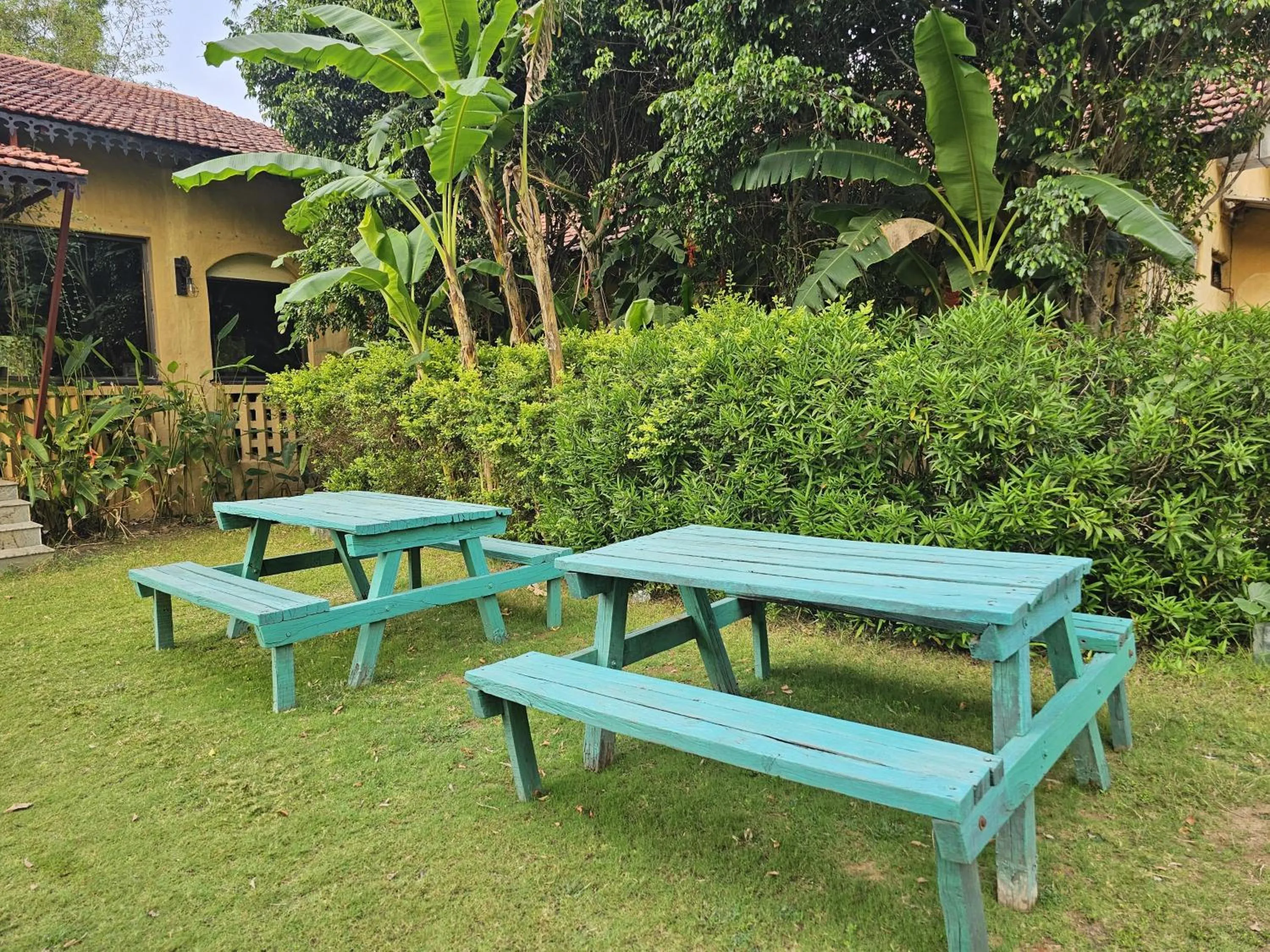 Garden view in The Celebration Van Vilas