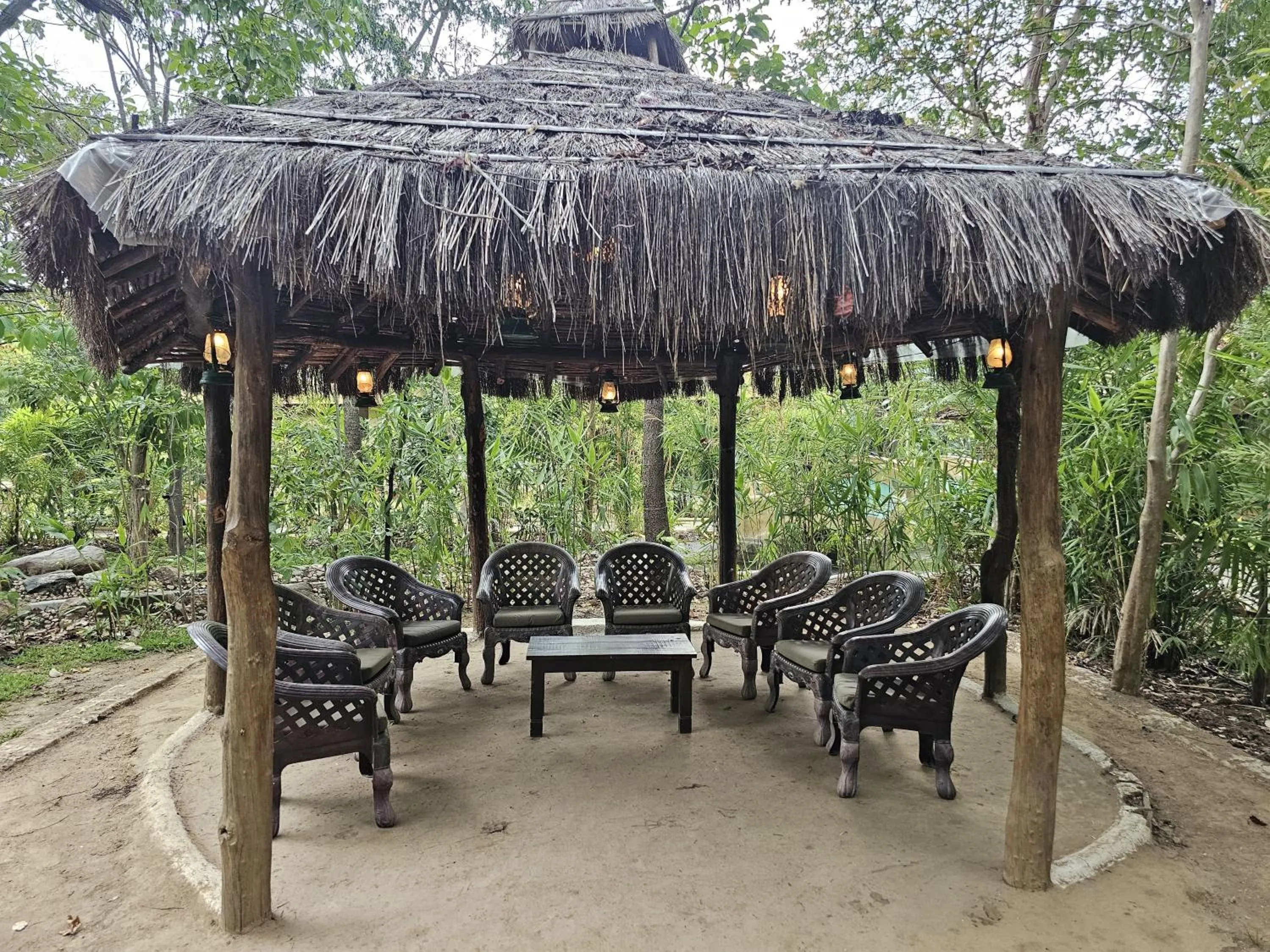 Day in The Celebration Van Vilas