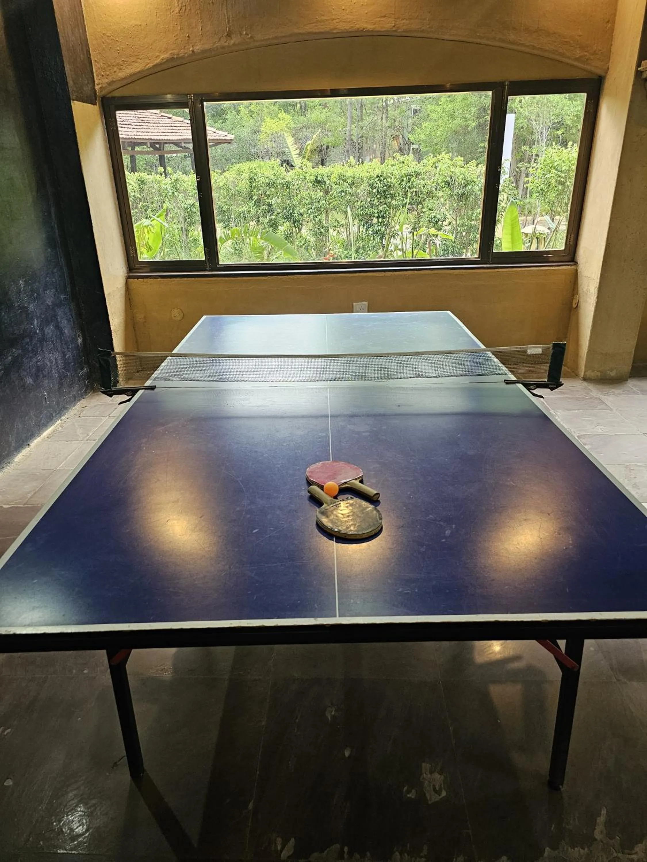 Game Room in The Celebration Van Vilas