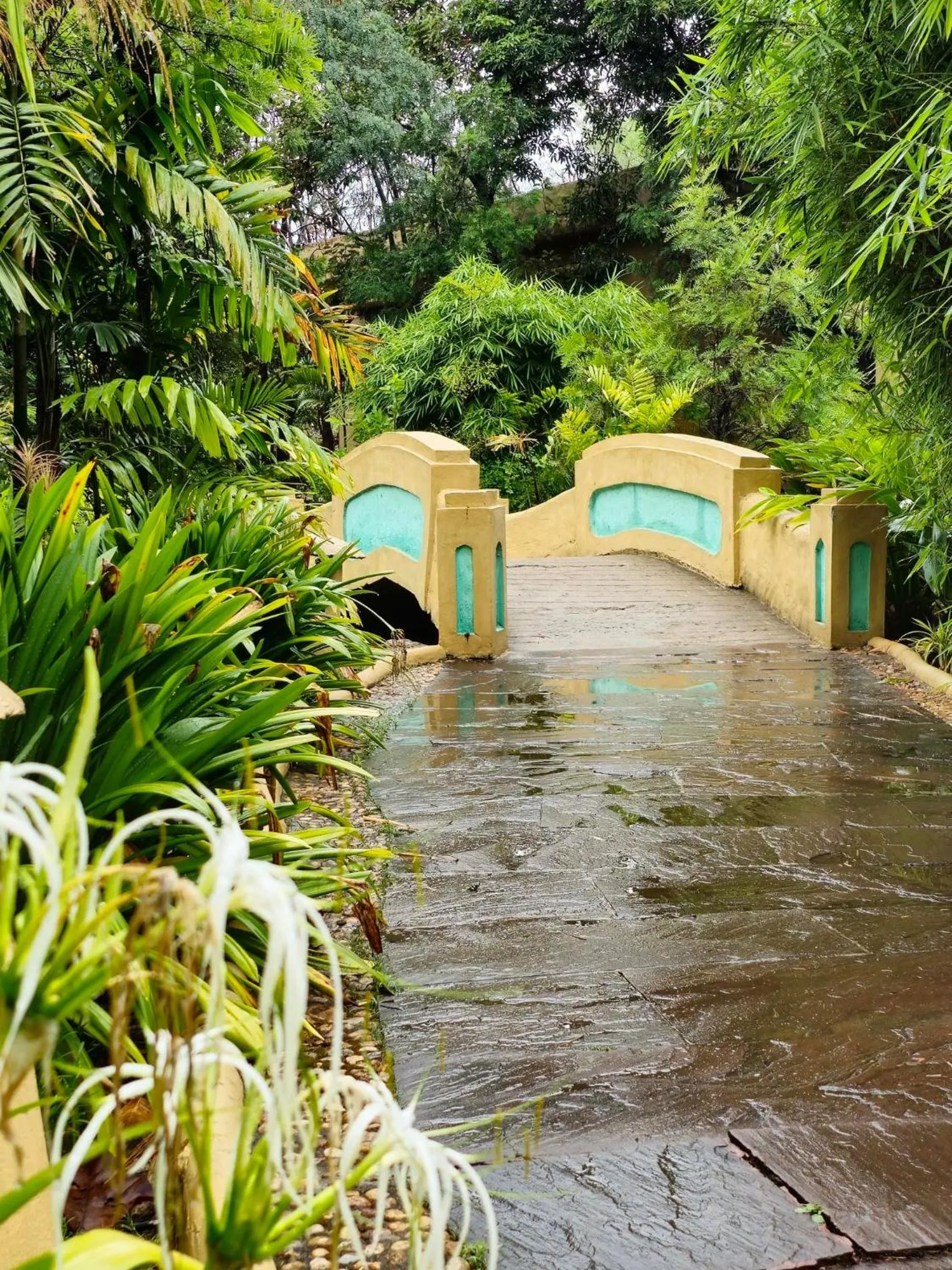 Natural landscape in The Celebration Van Vilas