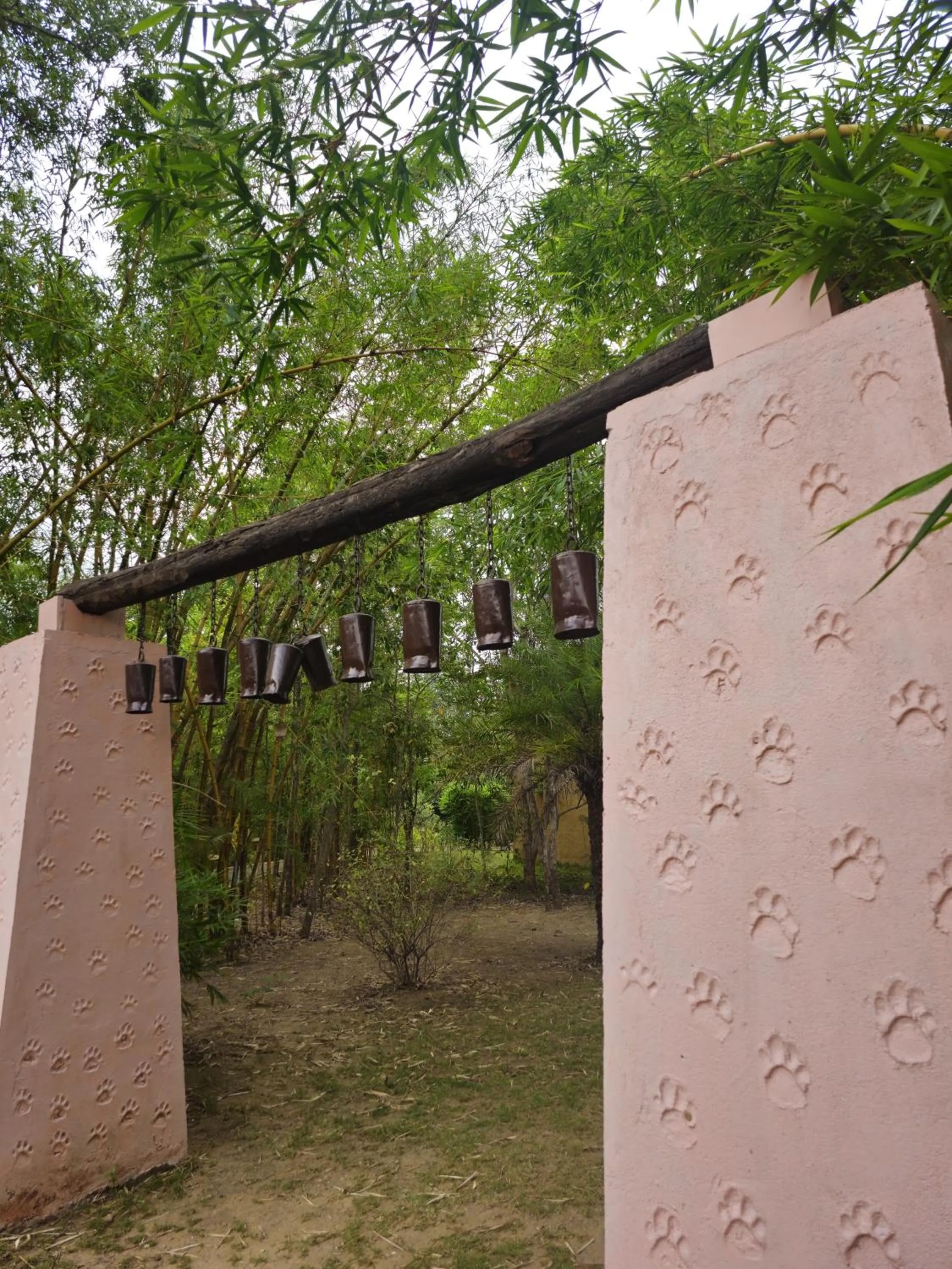 Garden in The Celebration Van Vilas