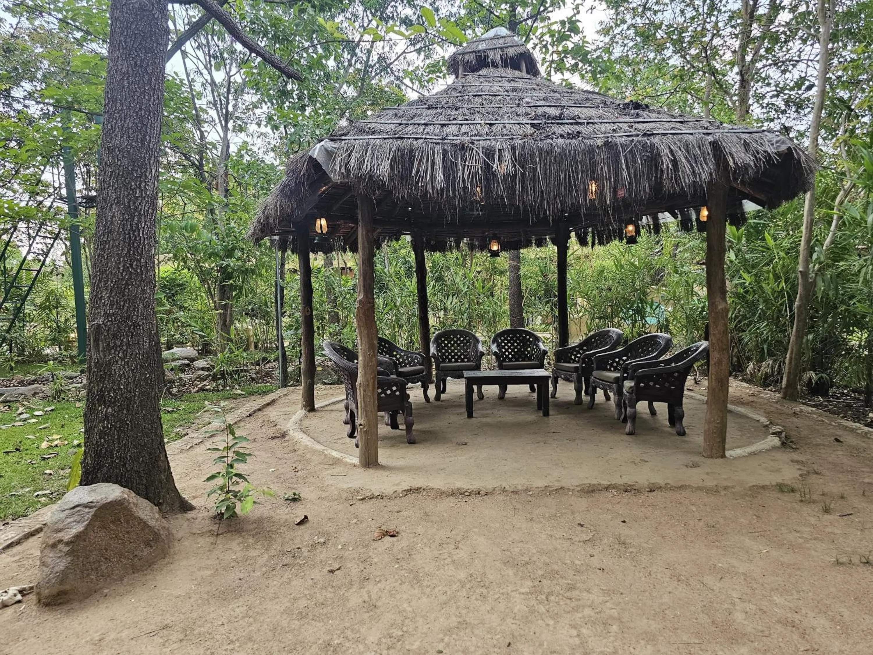 Garden in The Celebration Van Vilas