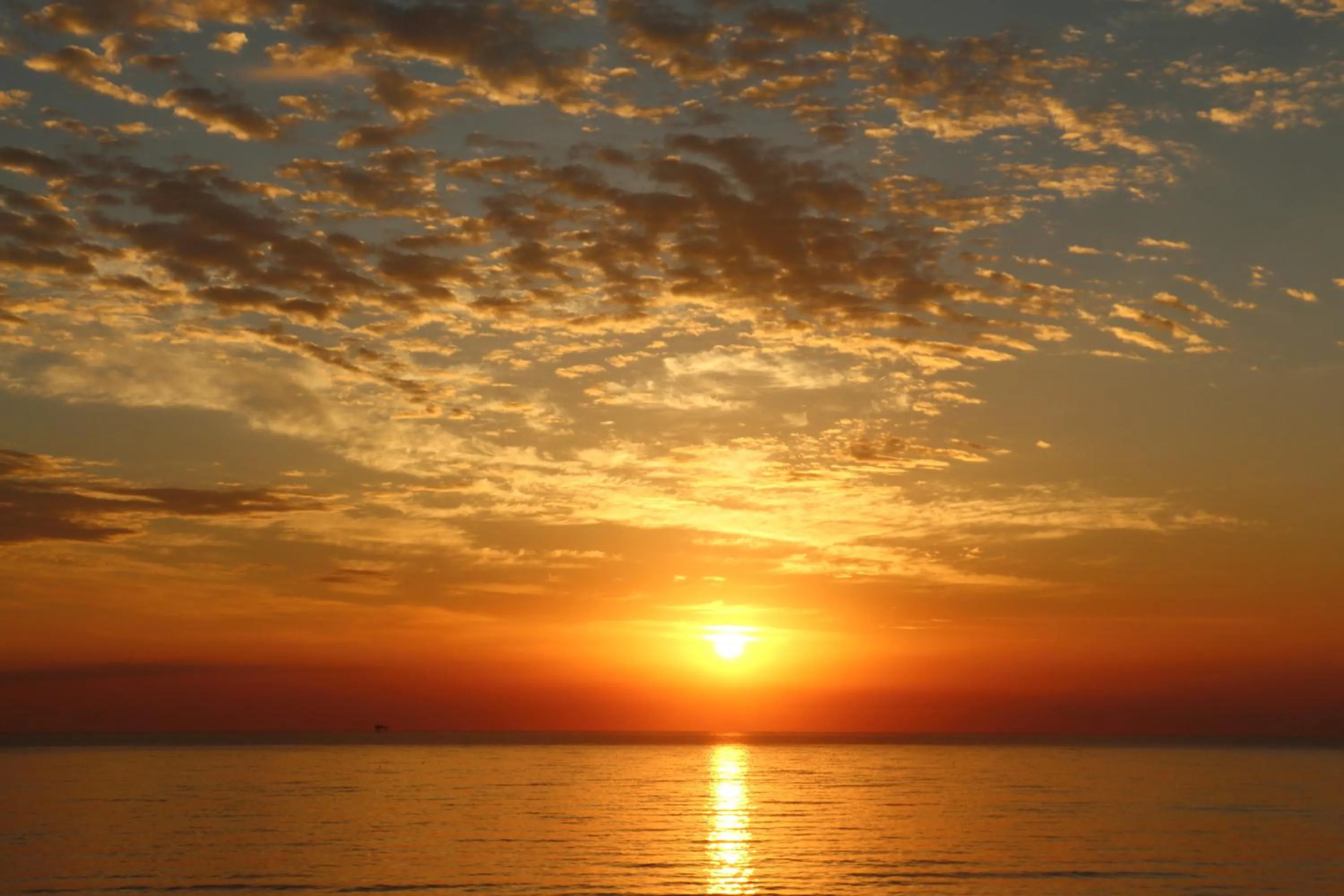Beach in Hotel Astoria