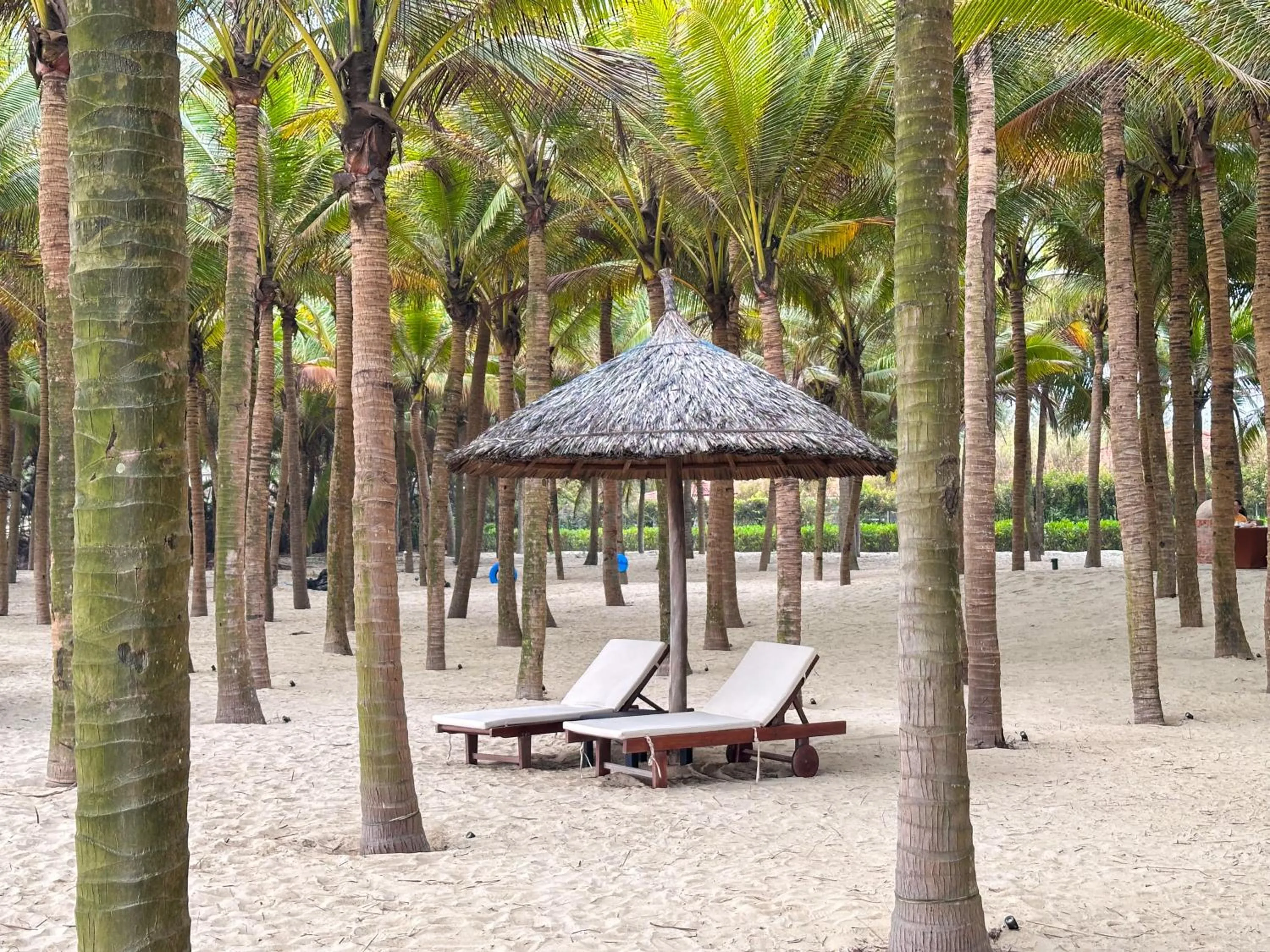 Natural landscape in Grandvrio Ocean Resort Danang