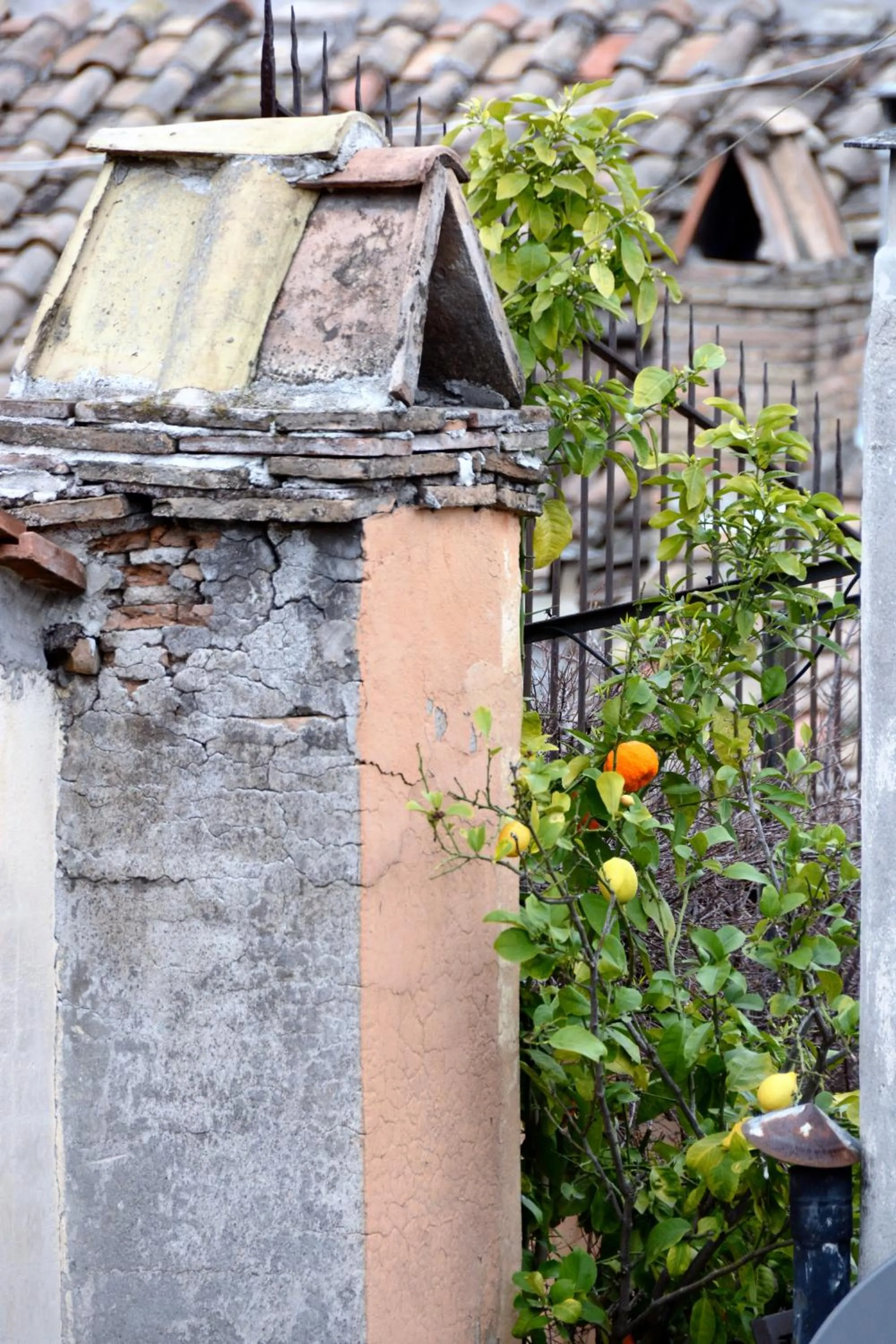 View (from property/room) in Appartamento Coronari