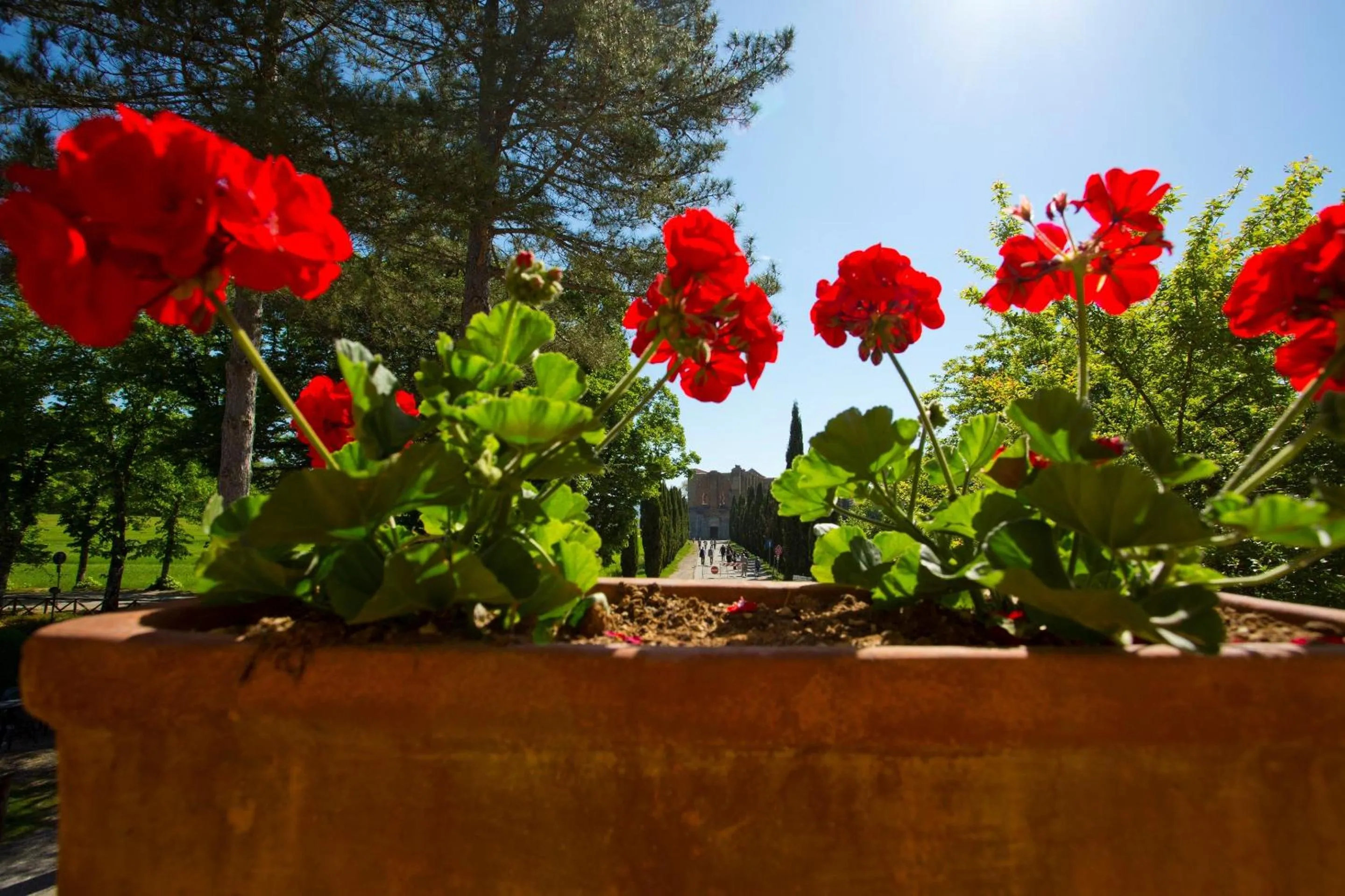 Decorative detail in Agriturismo San Galgano