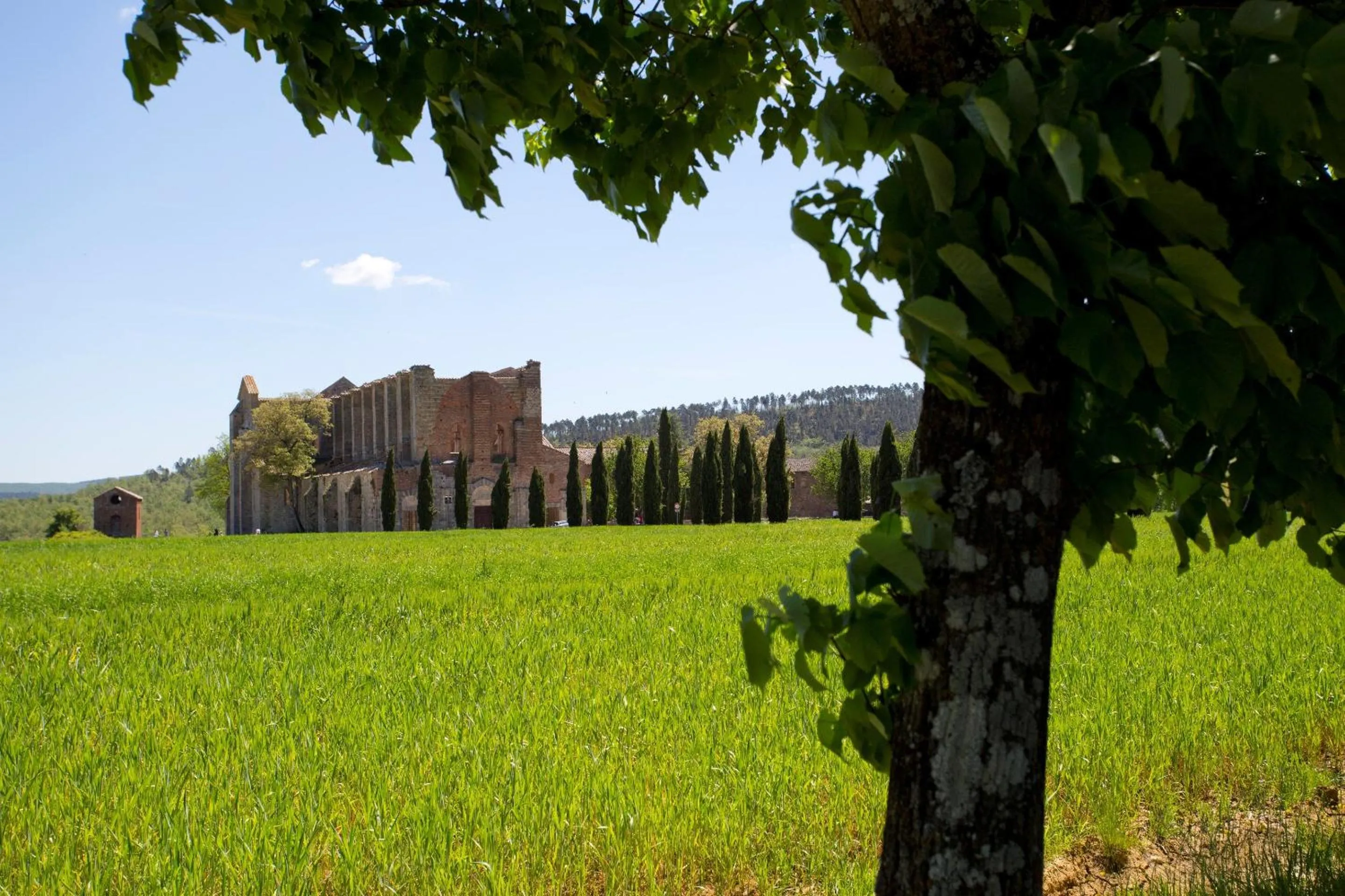 Nearby landmark in Agriturismo San Galgano