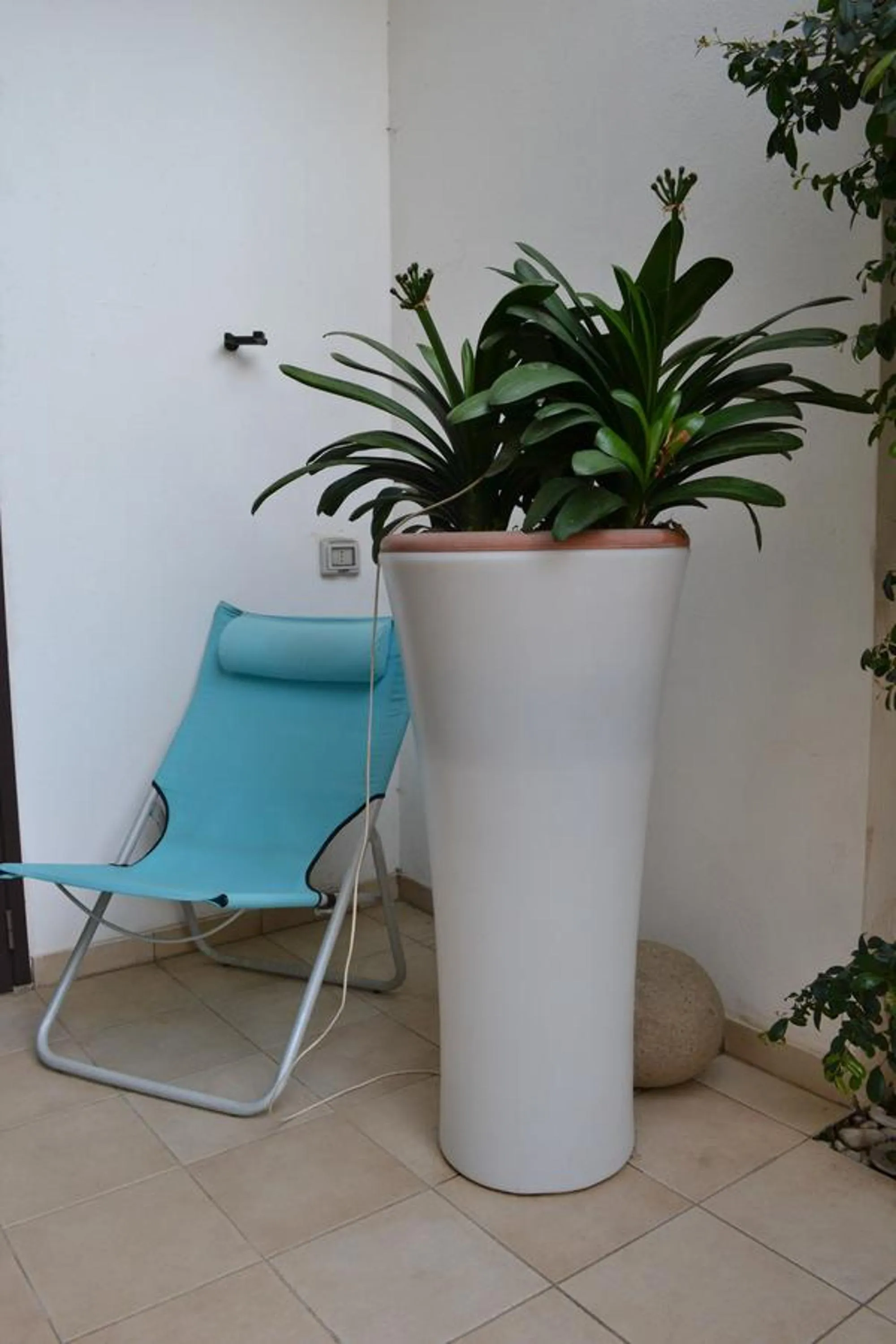 Garden in Casa Canale