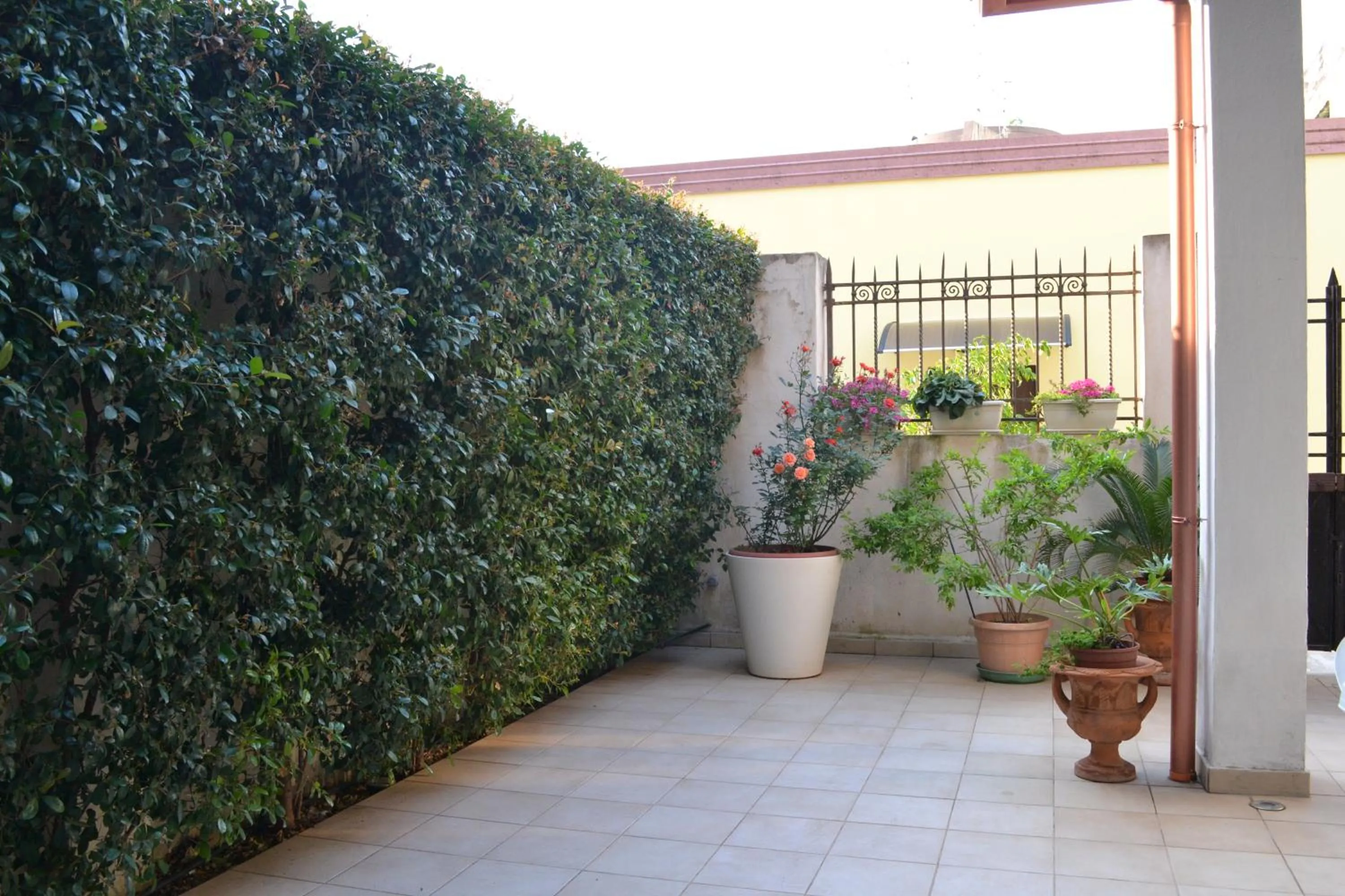 Patio in Casa Canale