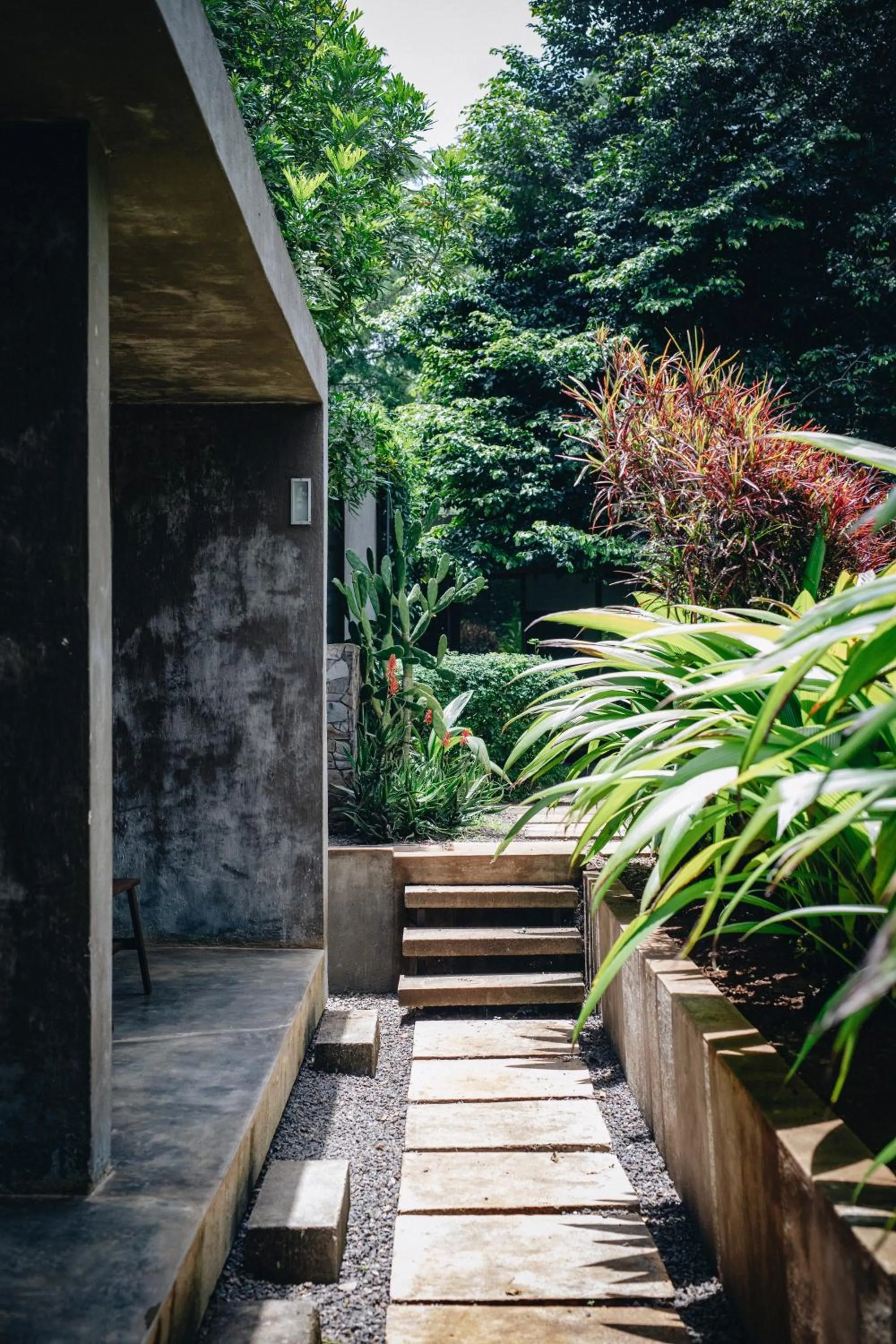 Spring in Kaliwa Lodge