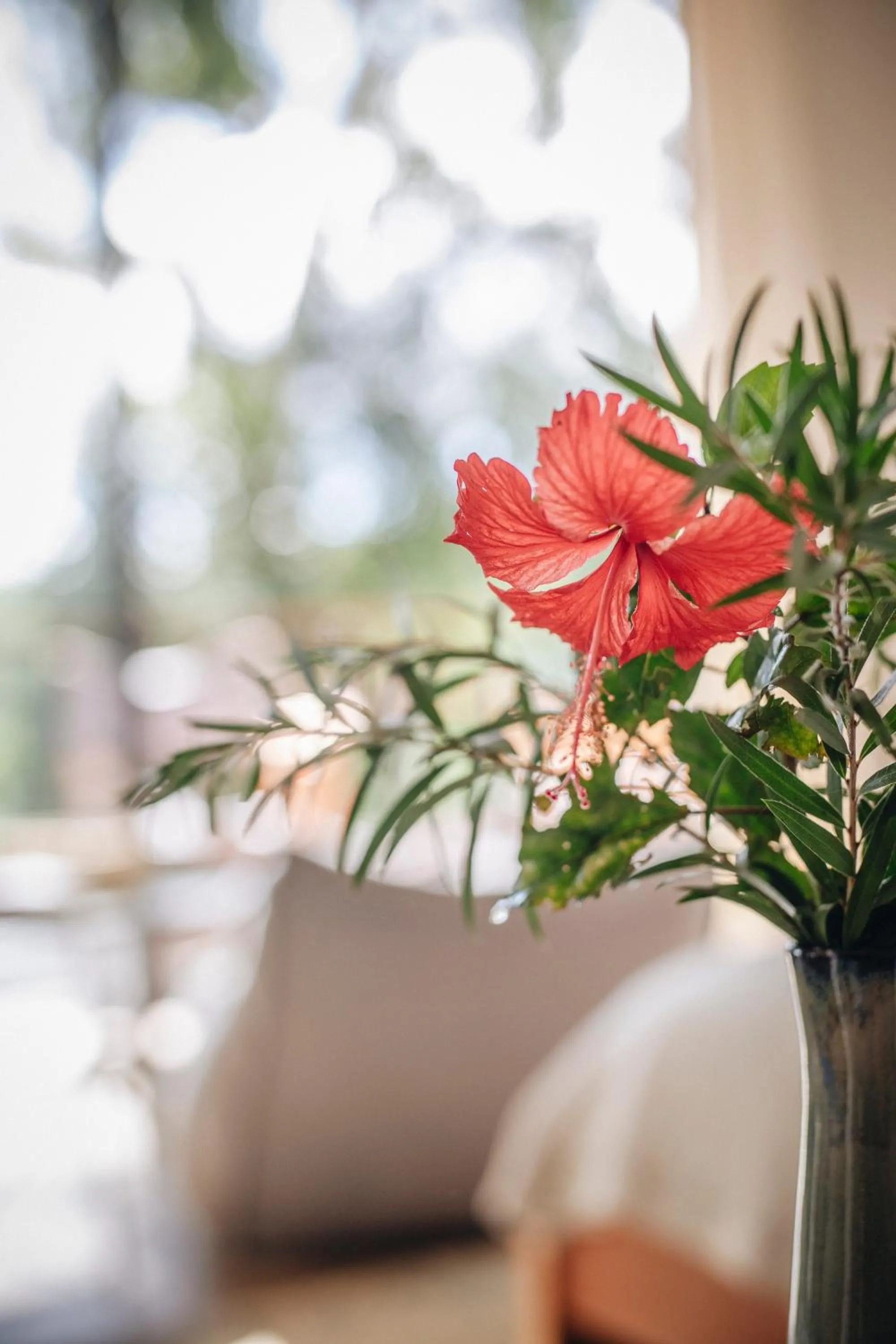 Property building in Kaliwa Lodge