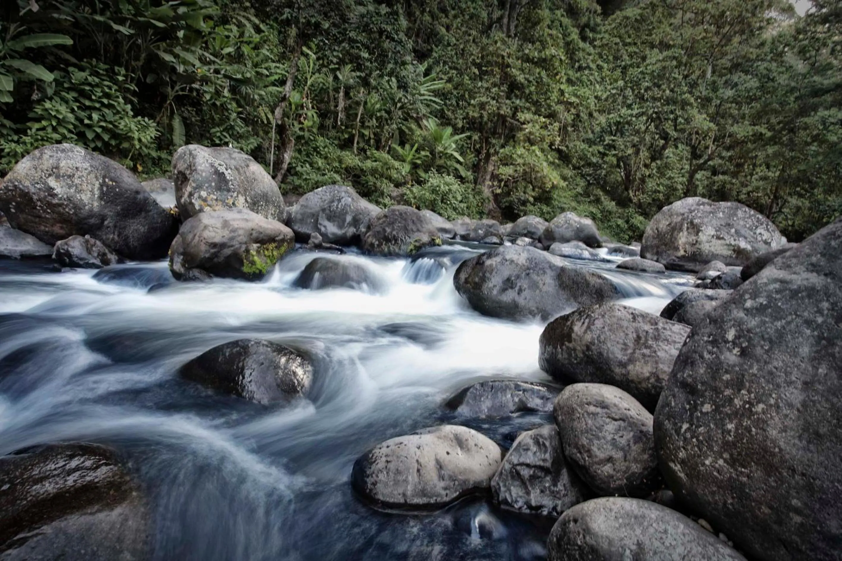 Nearby landmark in Kaliwa Lodge