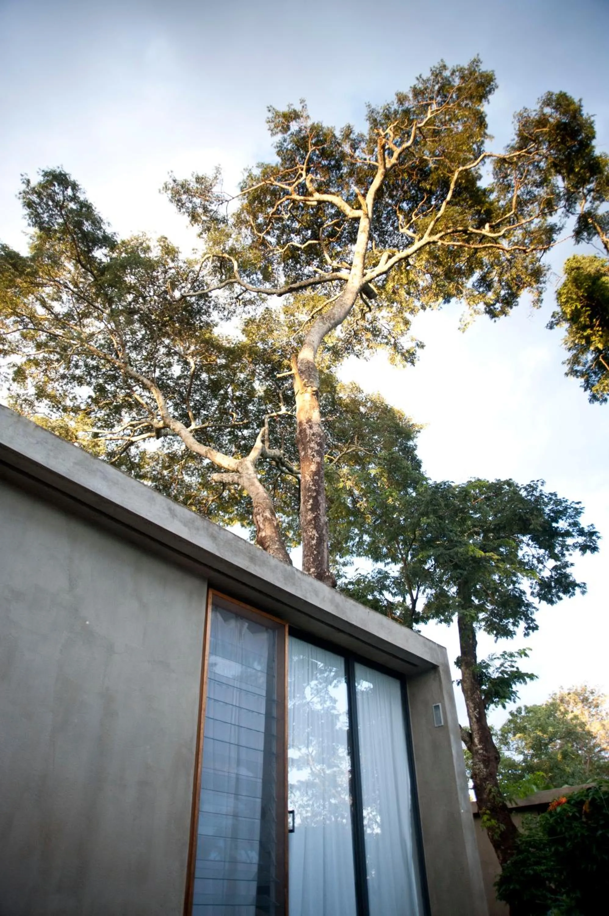 Bedroom in Kaliwa Lodge