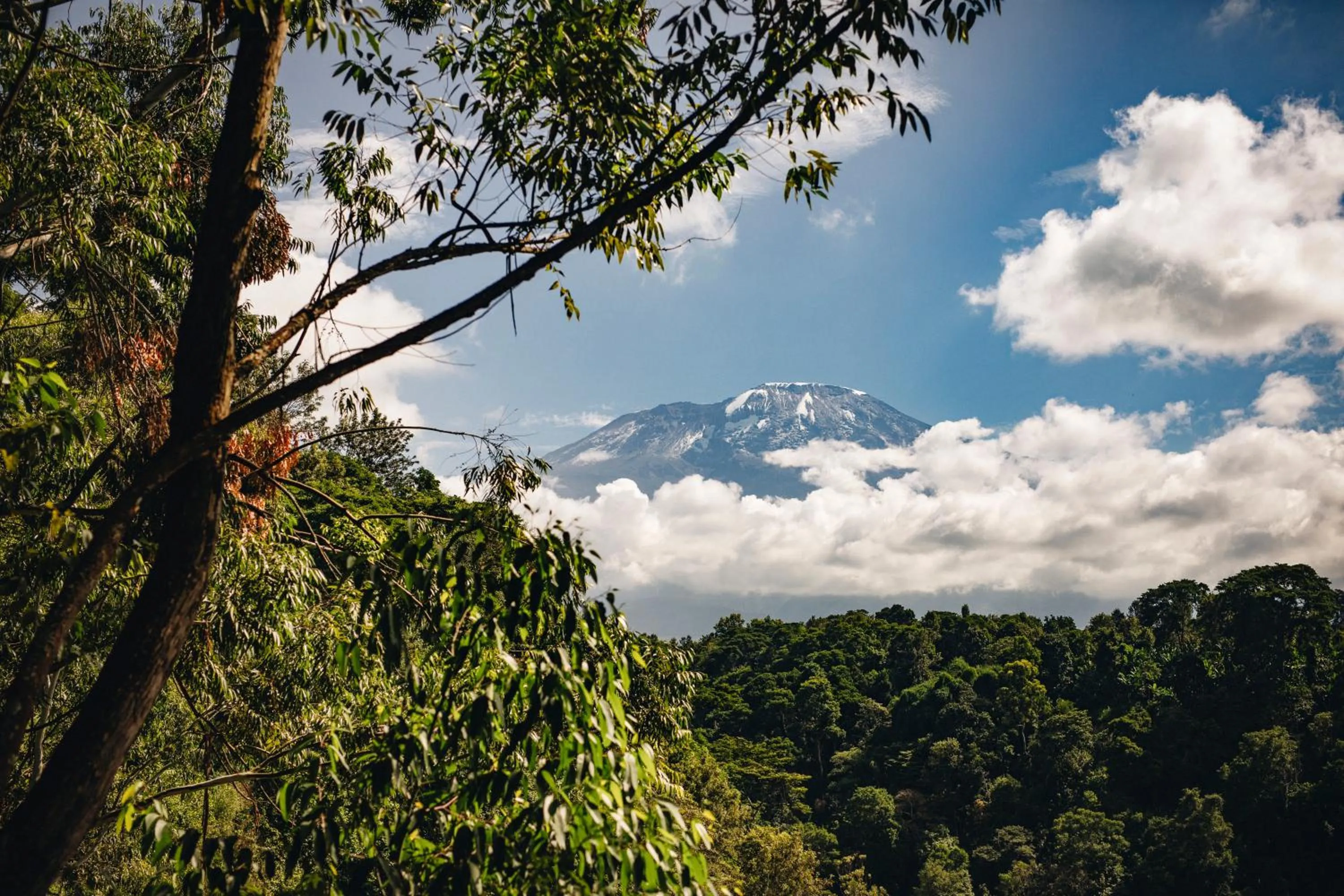 Natural landscape in Kaliwa Lodge