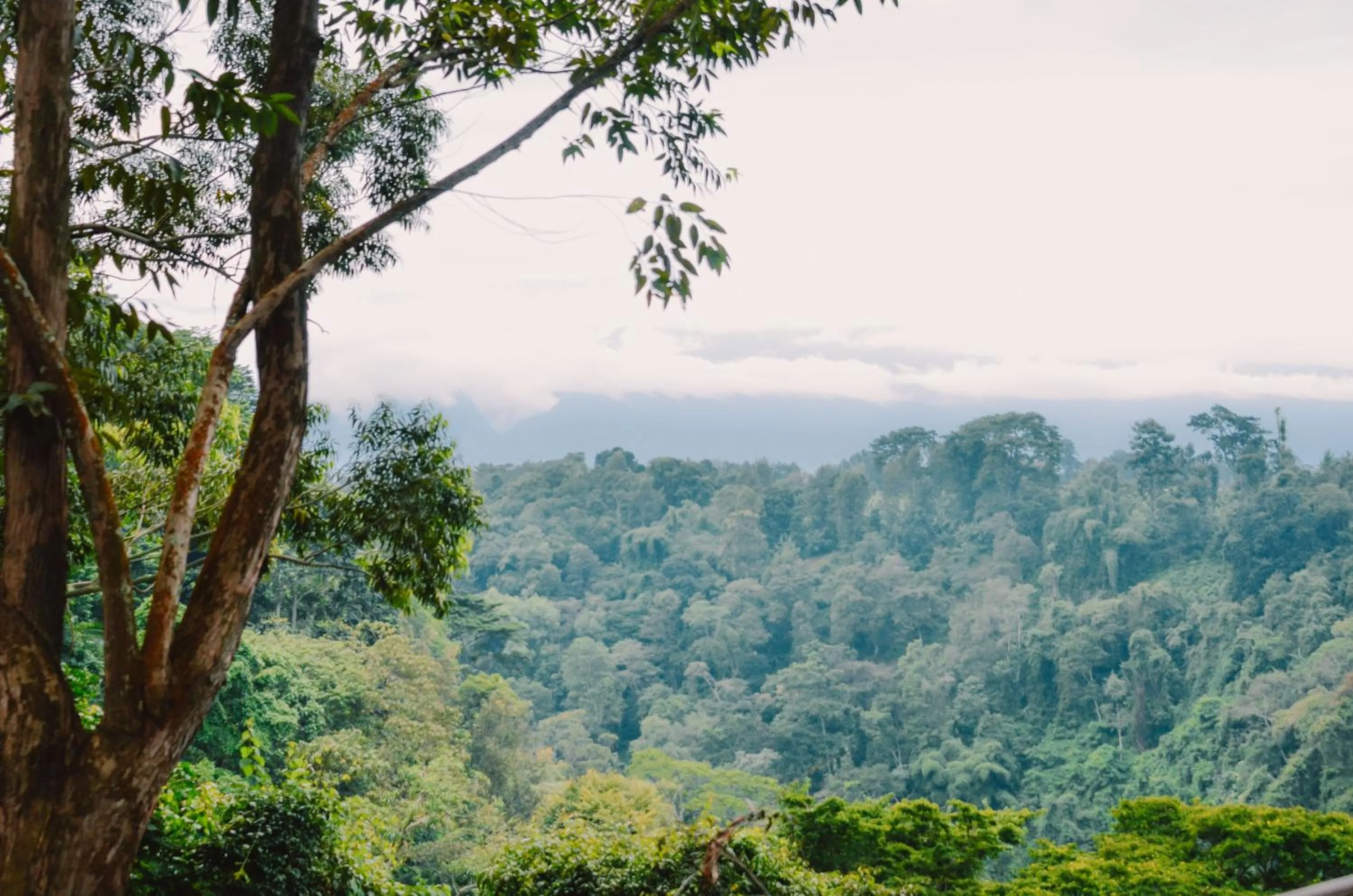 Nearby landmark in Kaliwa Lodge
