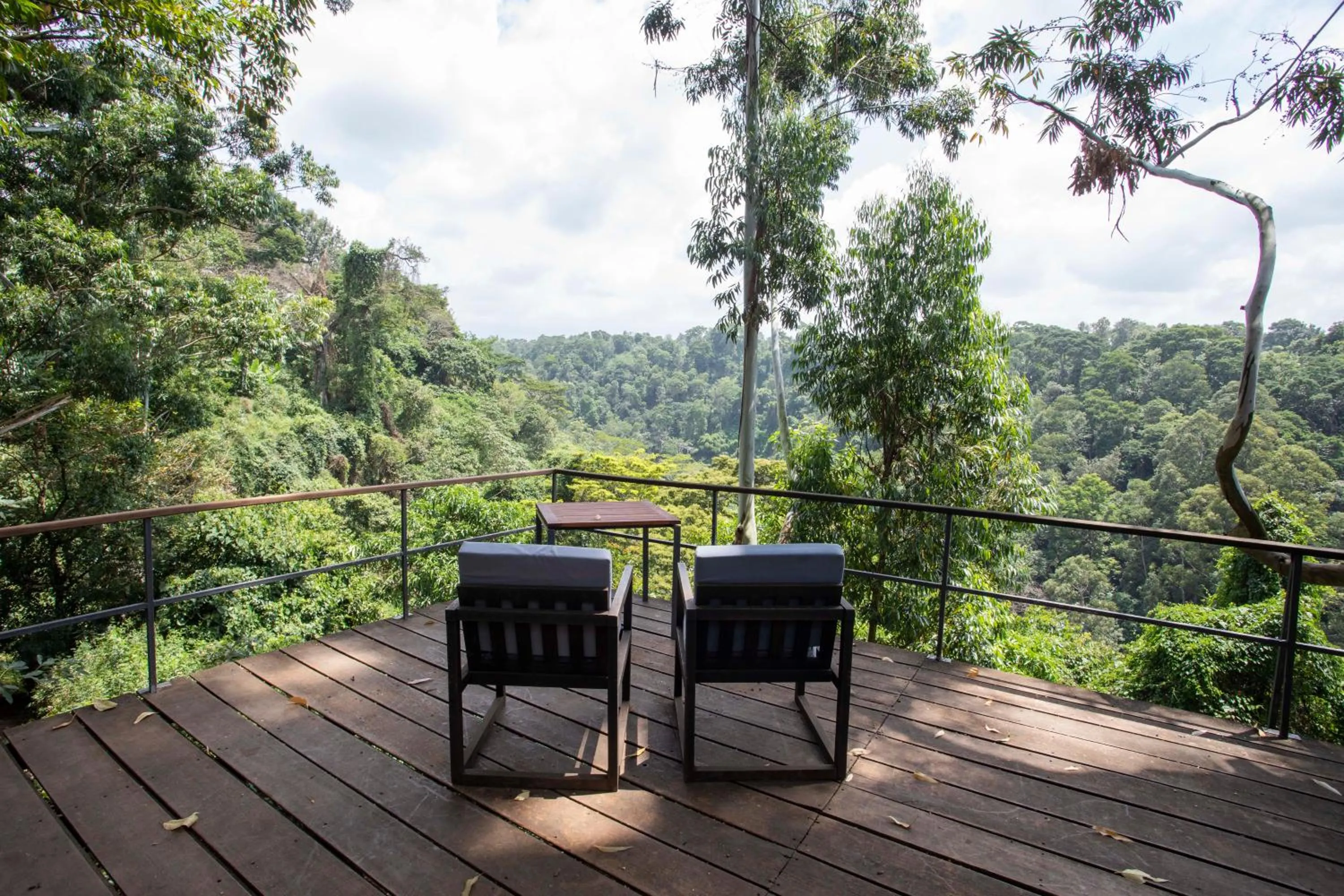 Natural landscape in Kaliwa Lodge