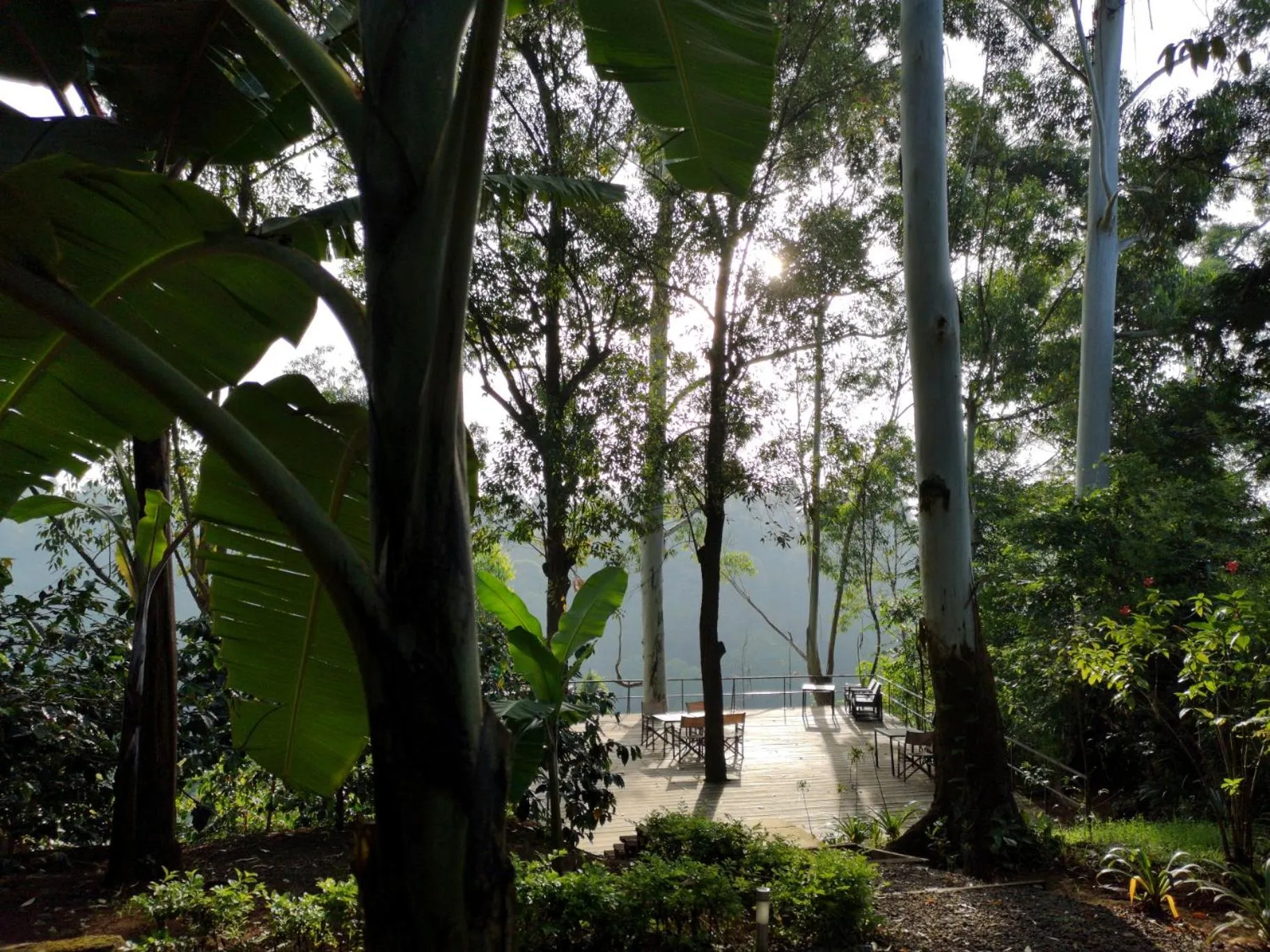 Spring in Kaliwa Lodge