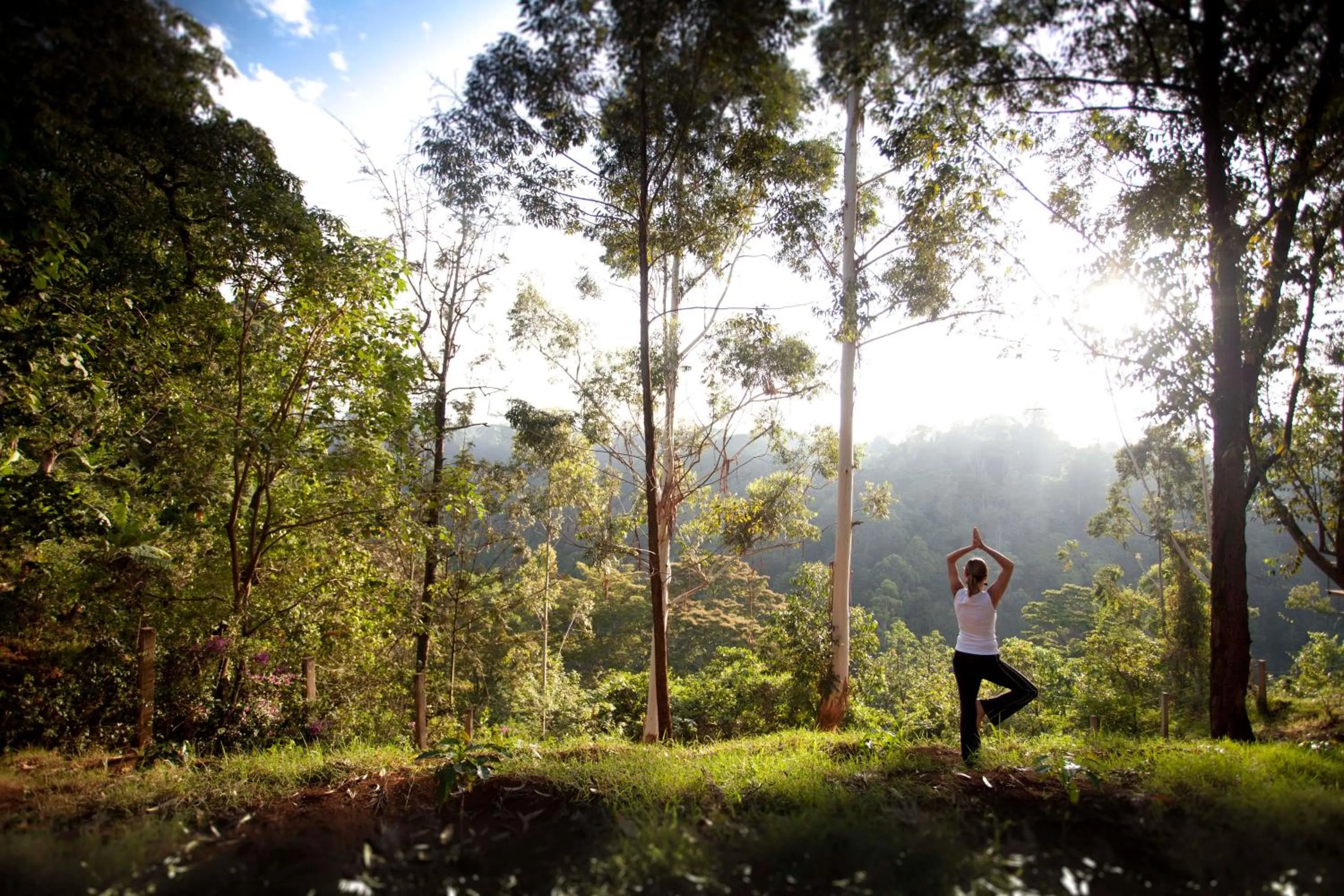 Bird's eye view in Kaliwa Lodge