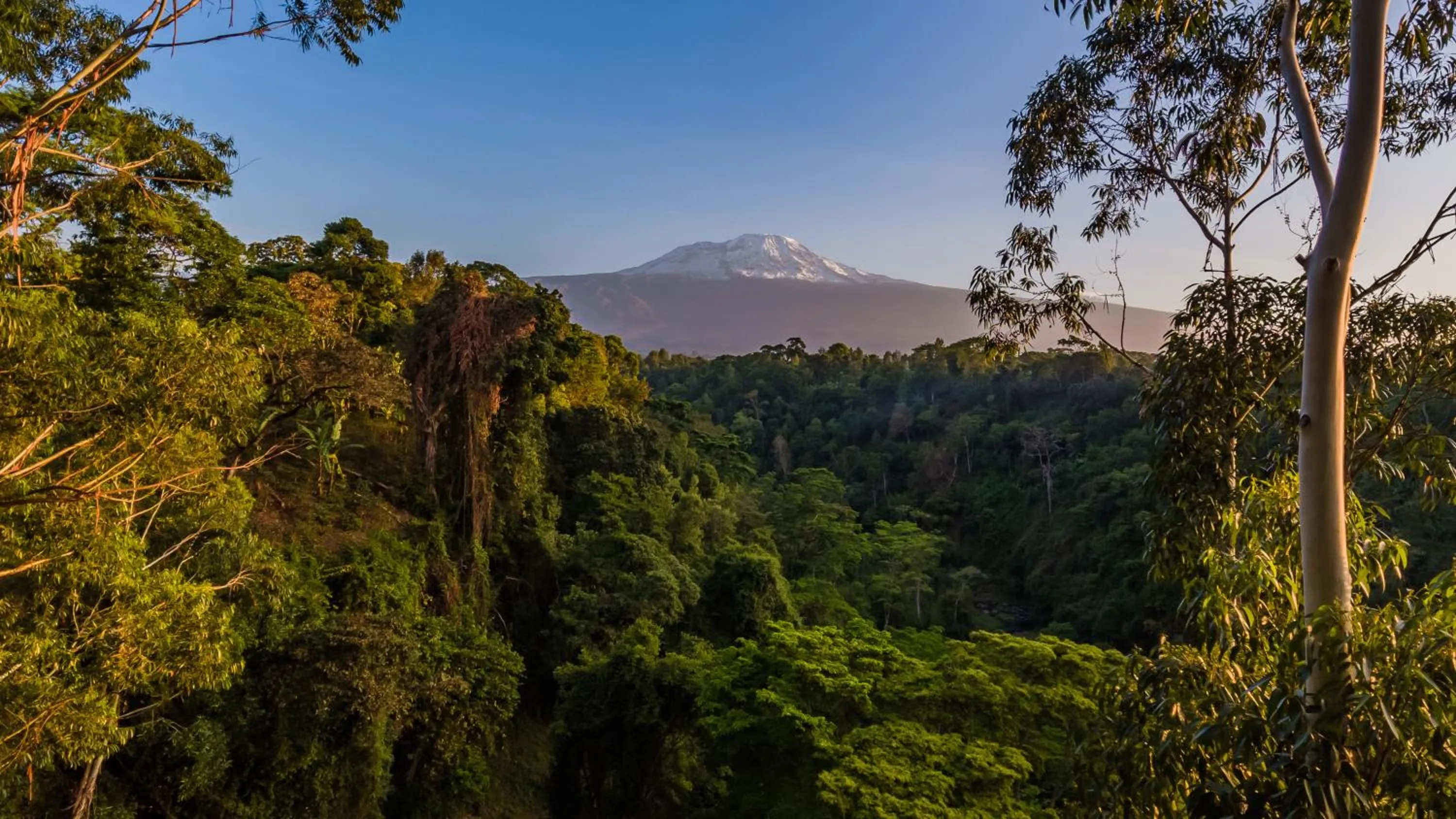 On site in Kaliwa Lodge