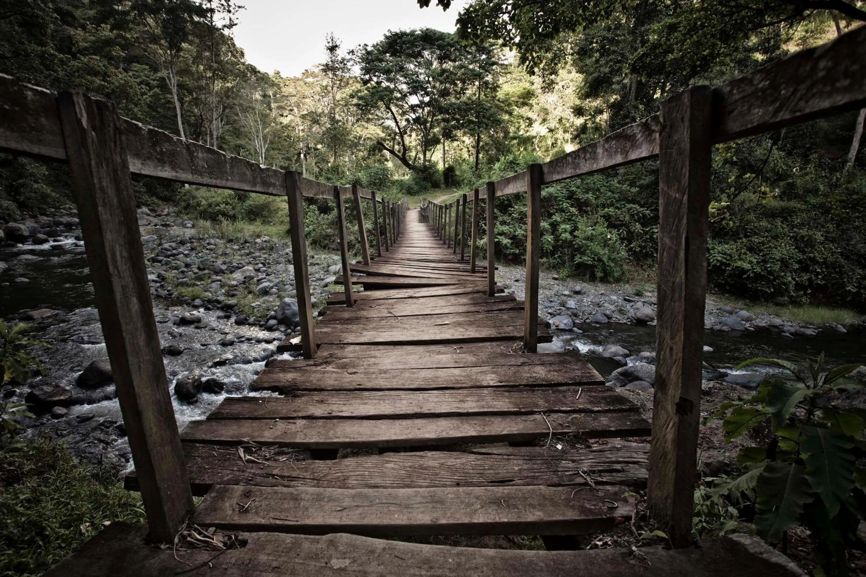 Spring in Kaliwa Lodge