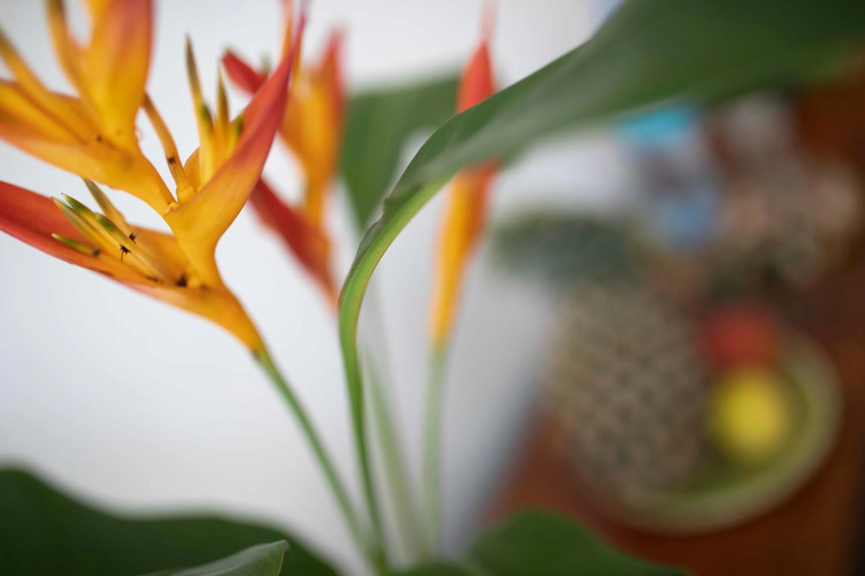 Decorative detail in Kaliwa Lodge