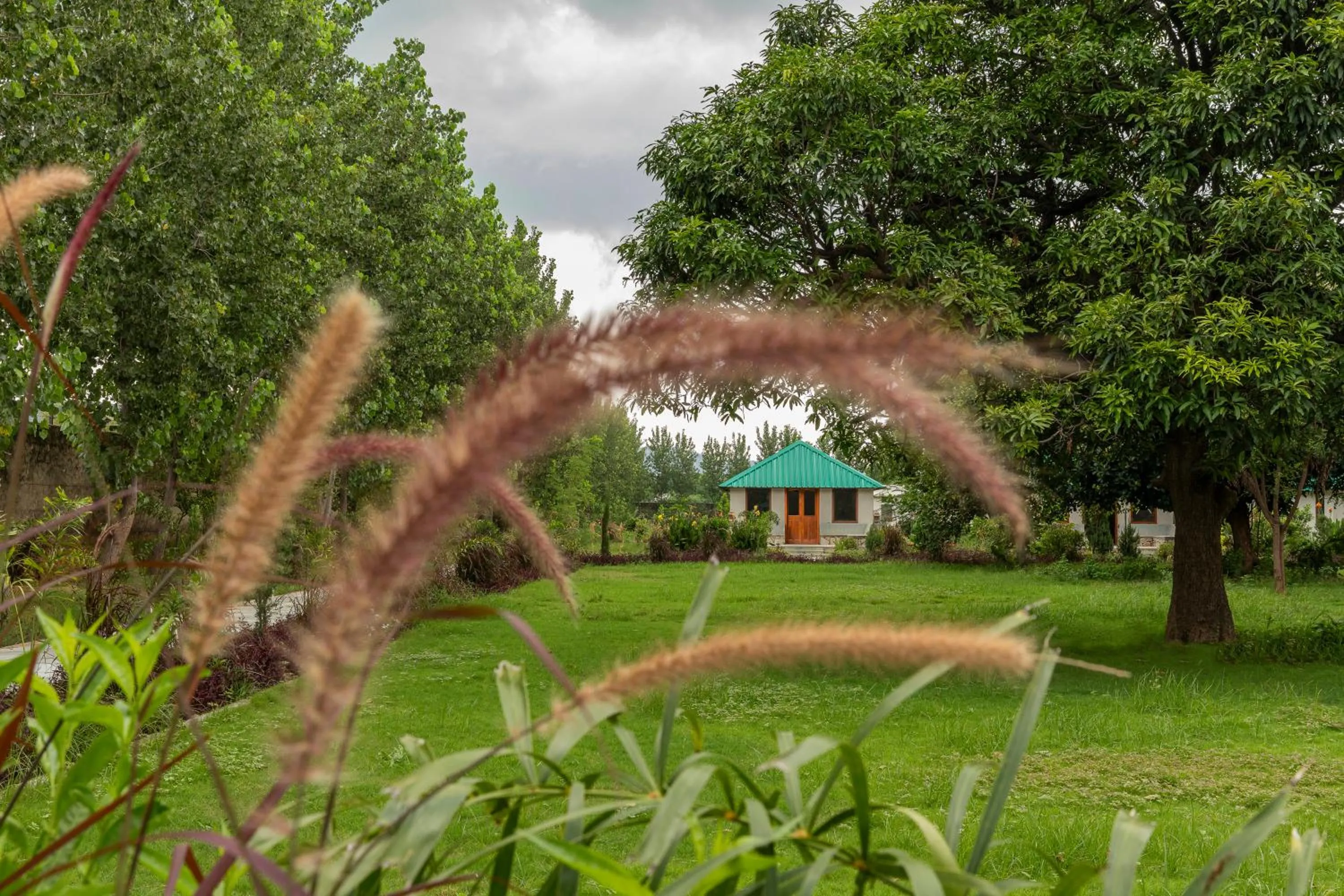 Natural landscape in ZANA Luxury Forest Resort, Ranthambore