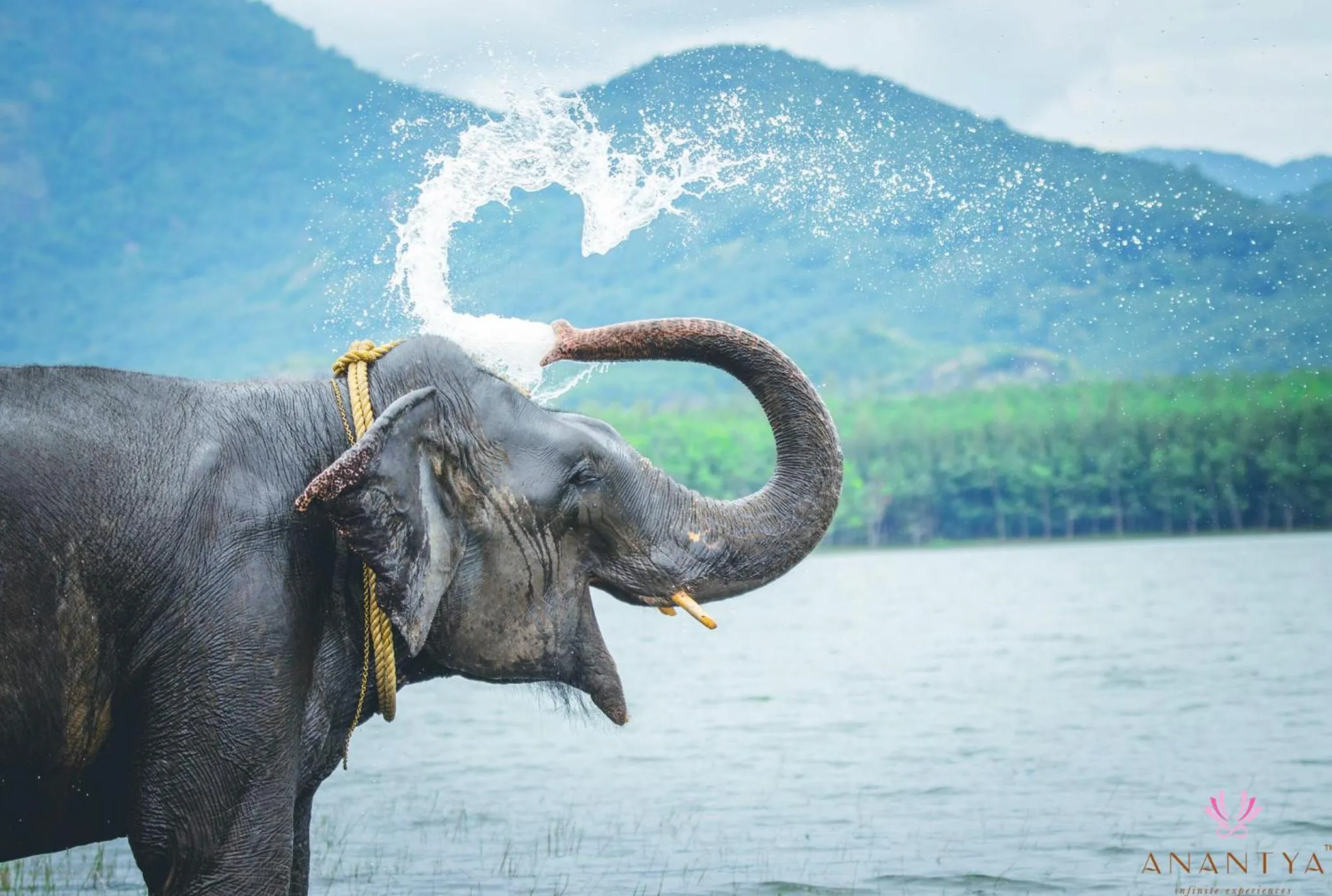 Activities in Anantya By The Lake