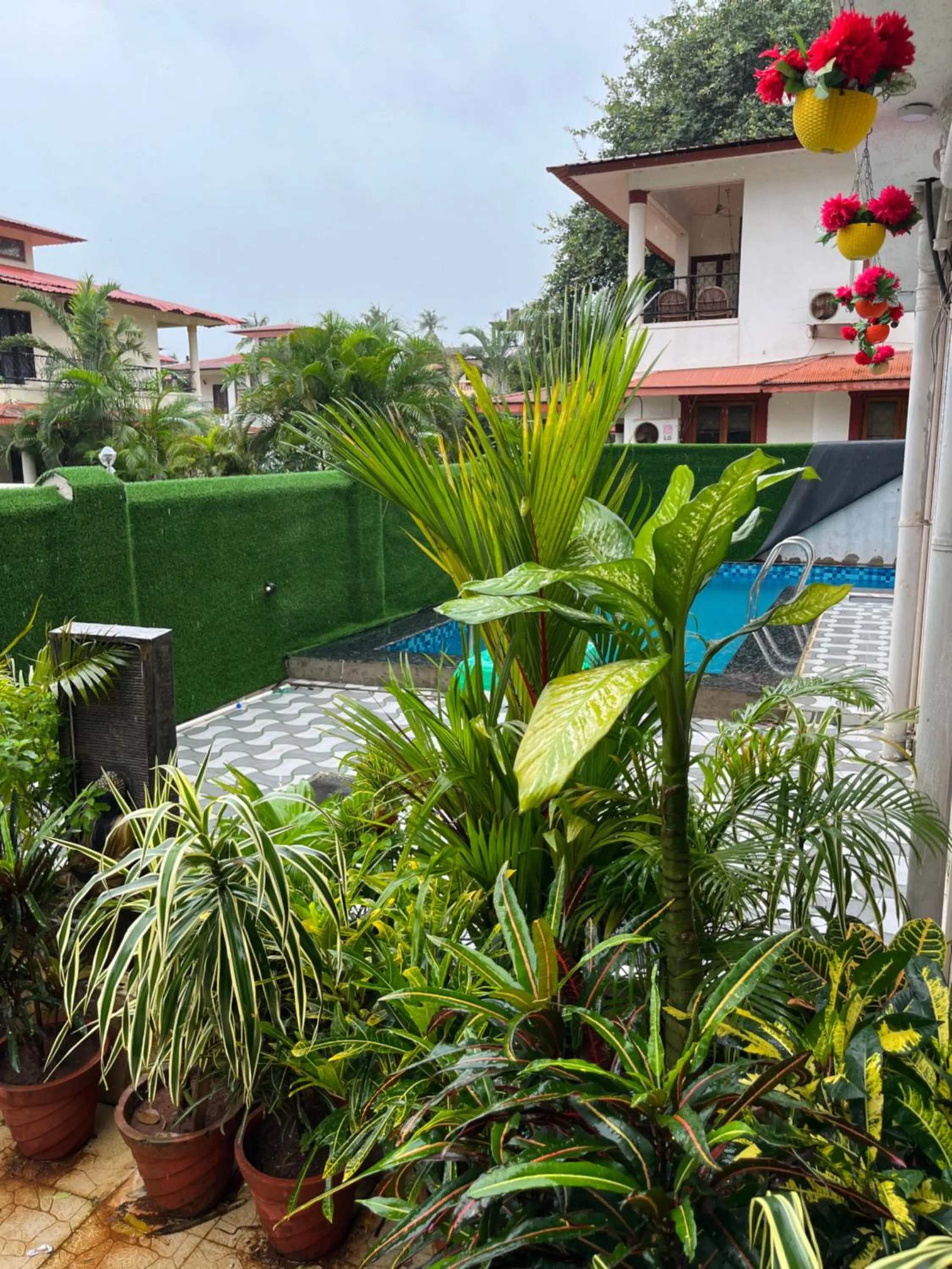 Swimming pool, Pool View in The Terra Hotel North Goa